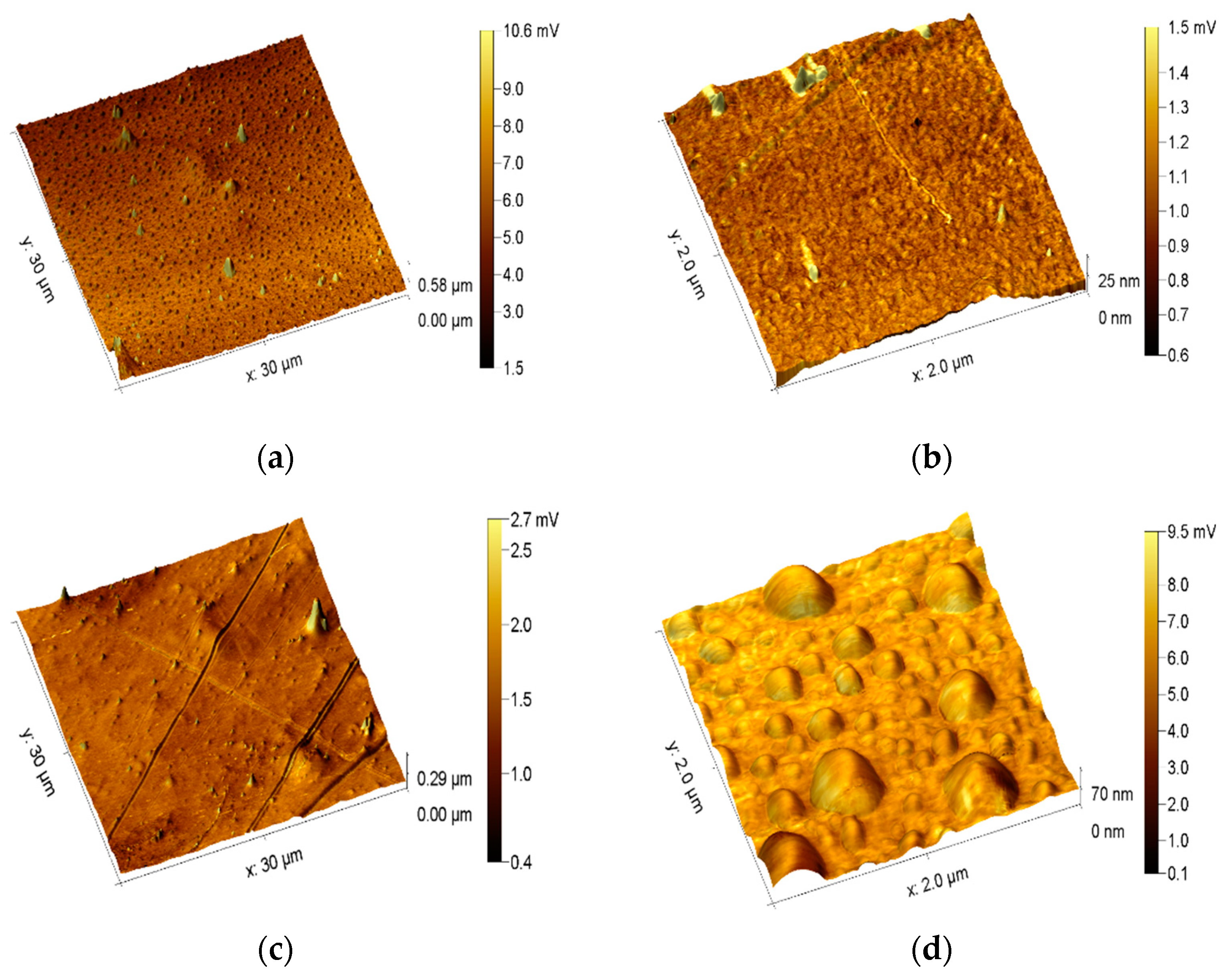 Polymers 15 04289 g001a