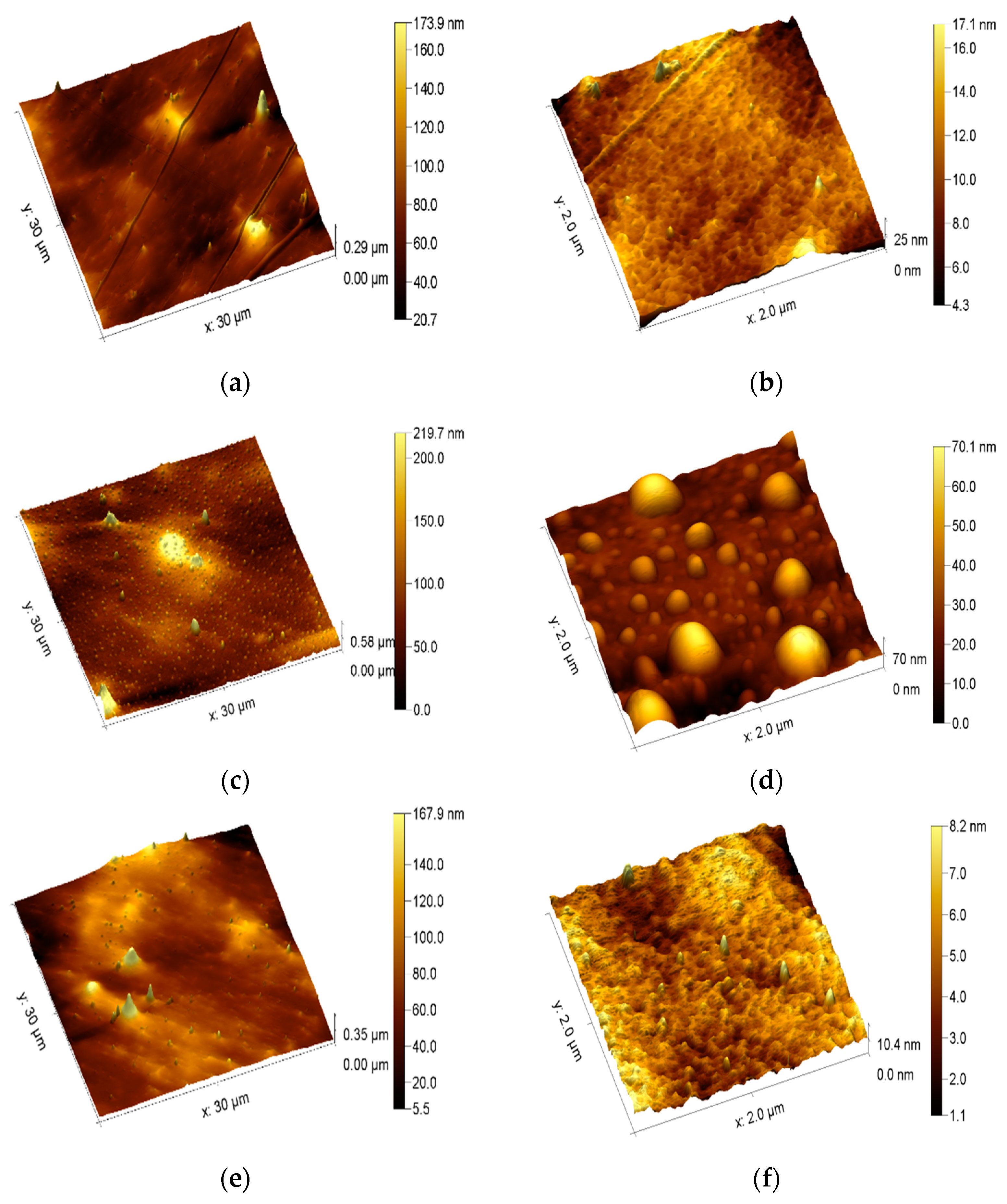 Polymers 15 04289 g002