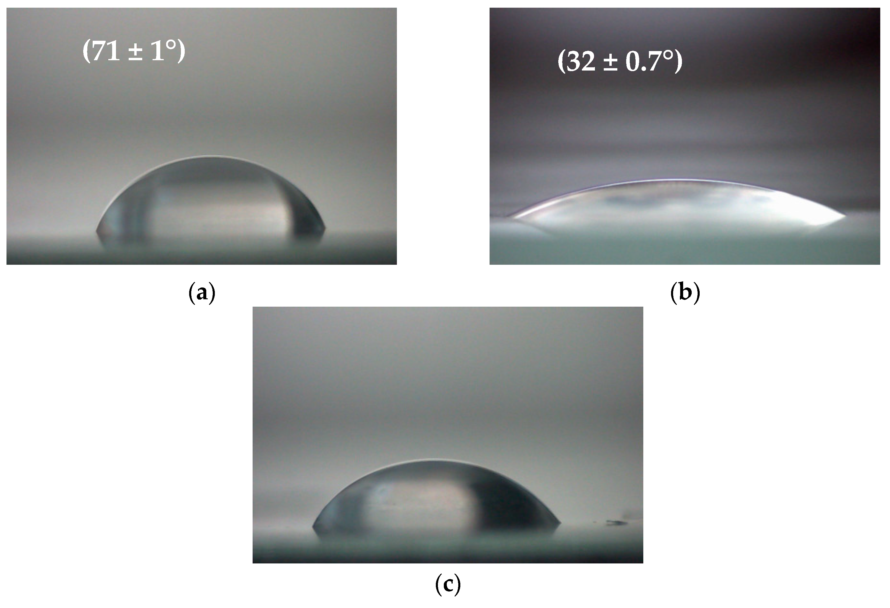 Polymers 15 04289 g005
