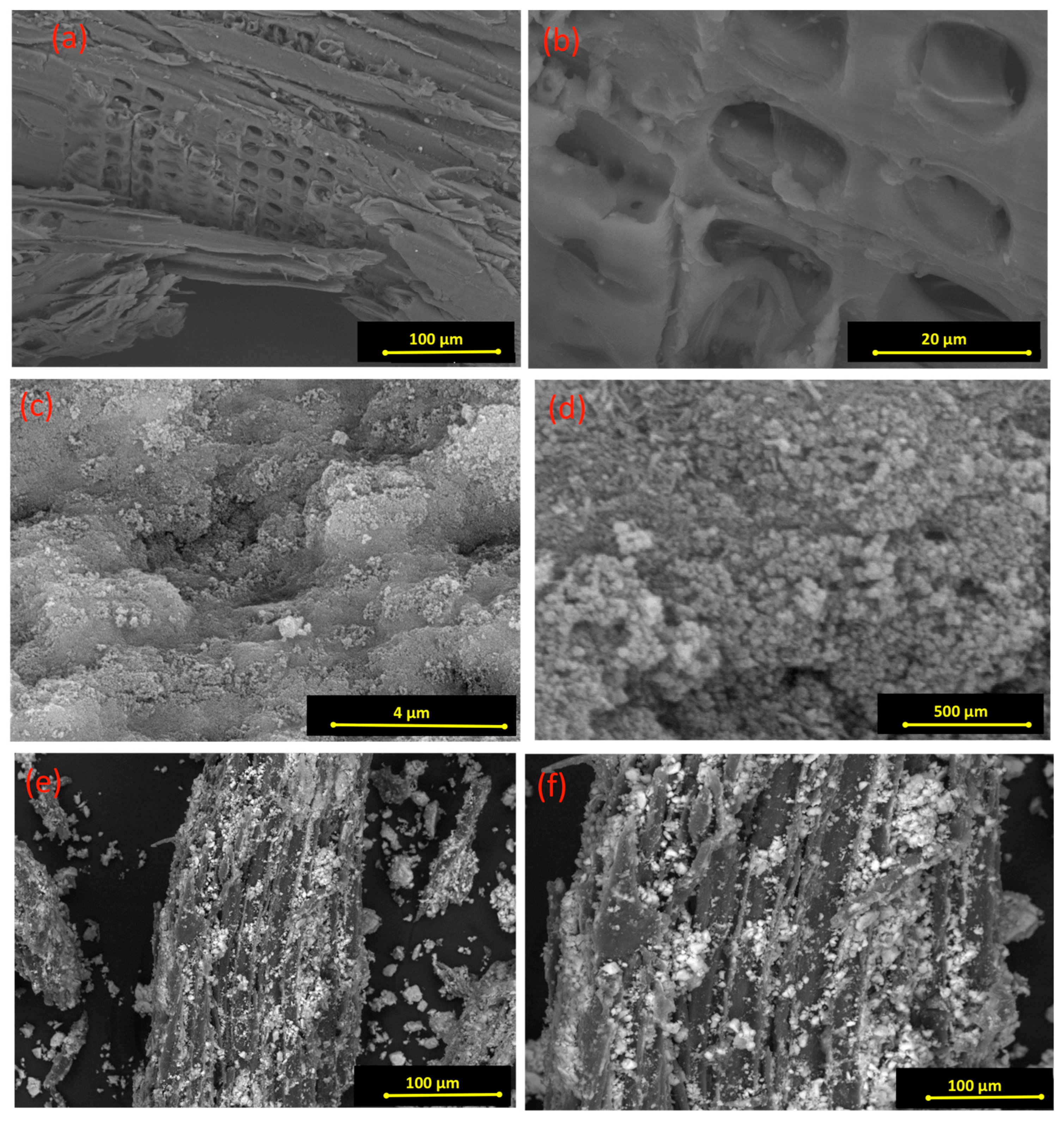 Polymers 15 04291 g003