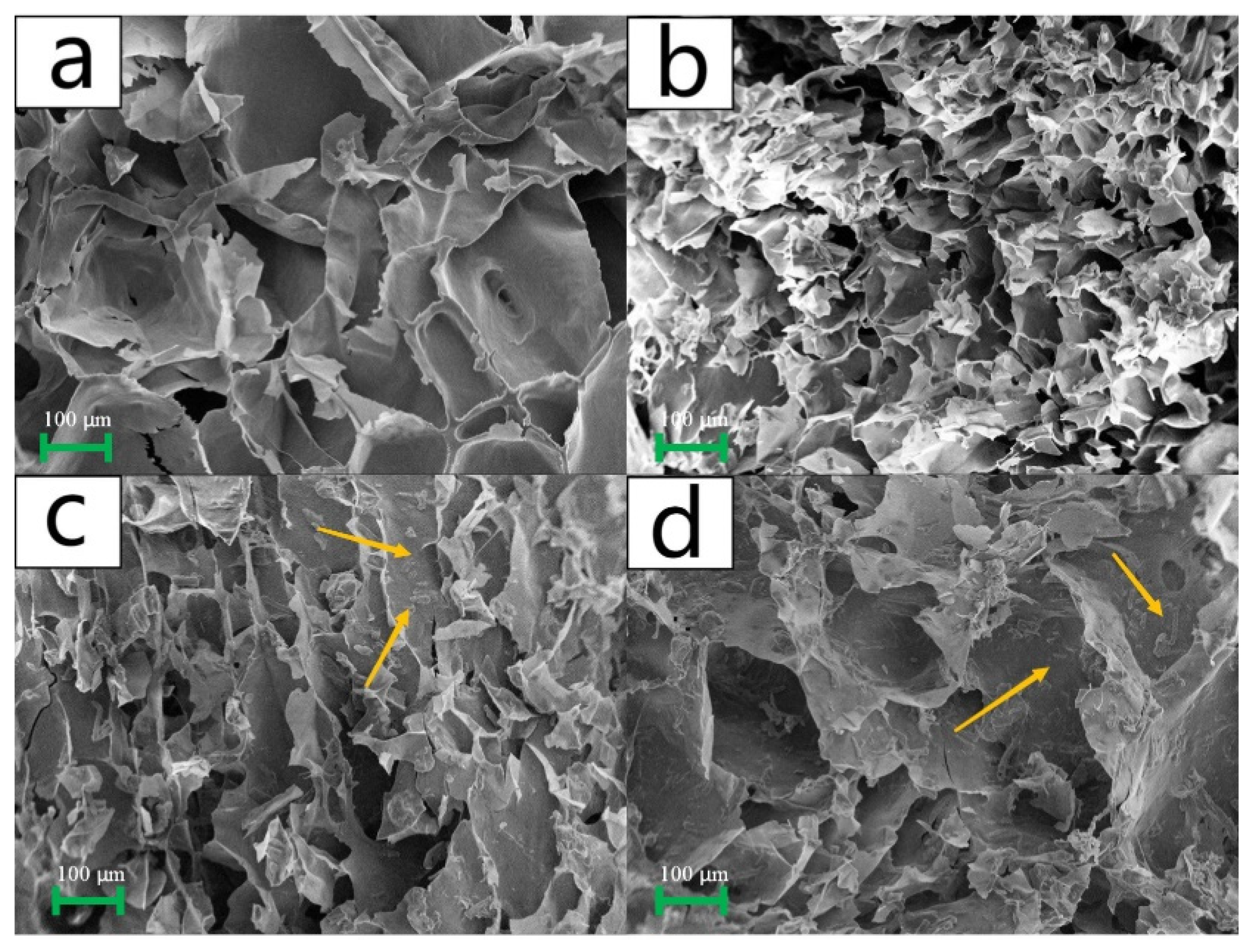Polymers 15 04294 g001