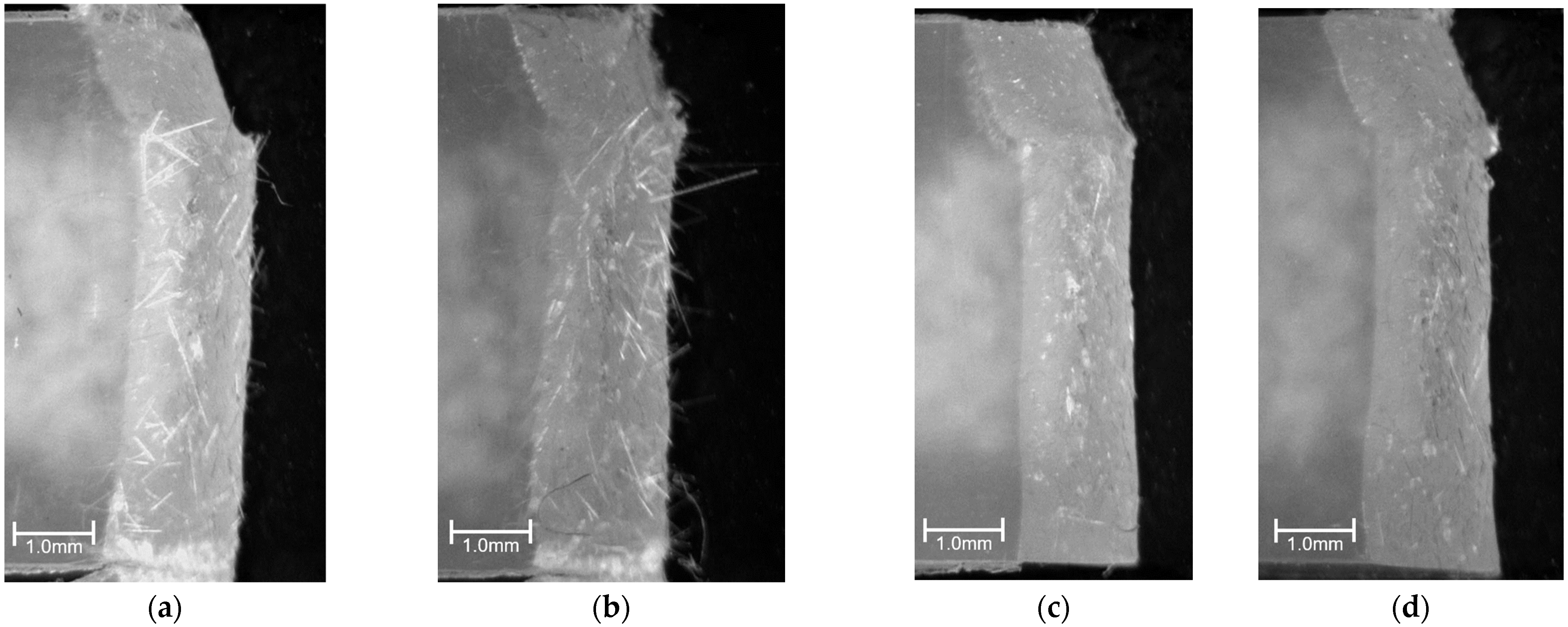 Polymers 15 04297 g014