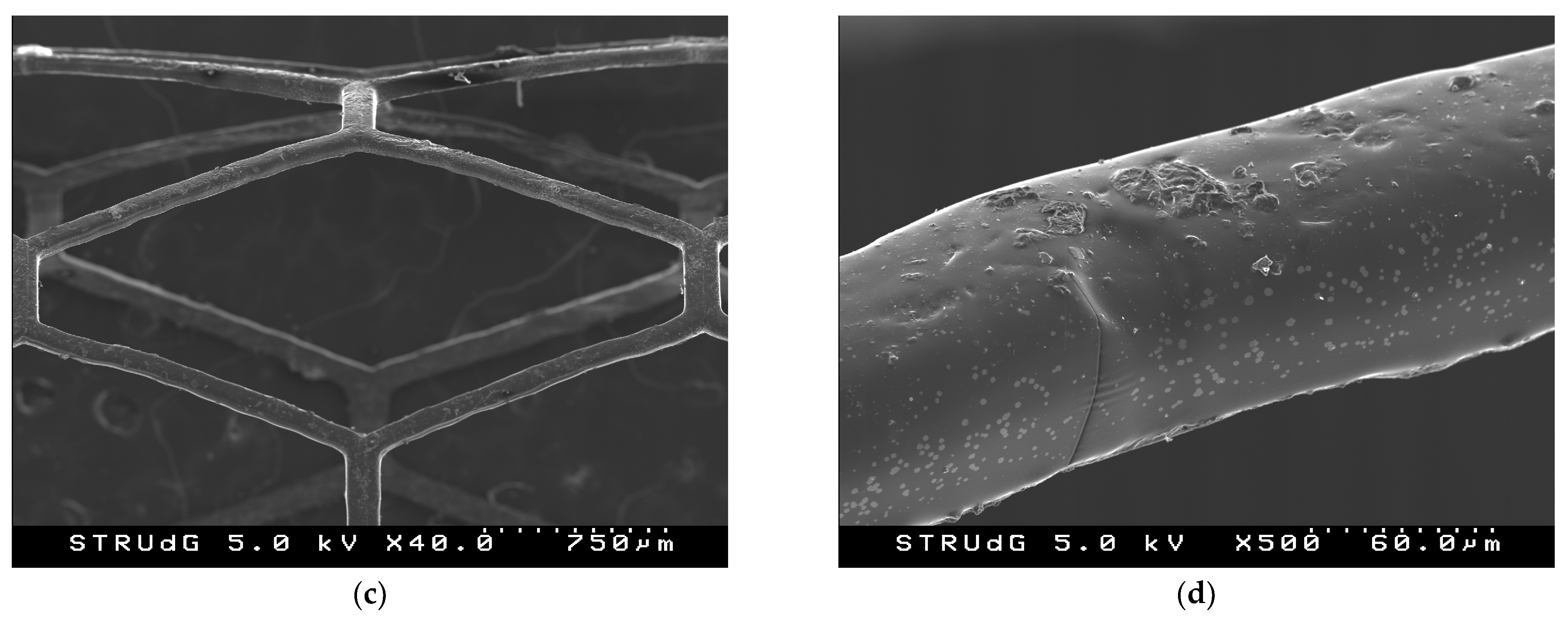Polymers 15 04298 g006b
