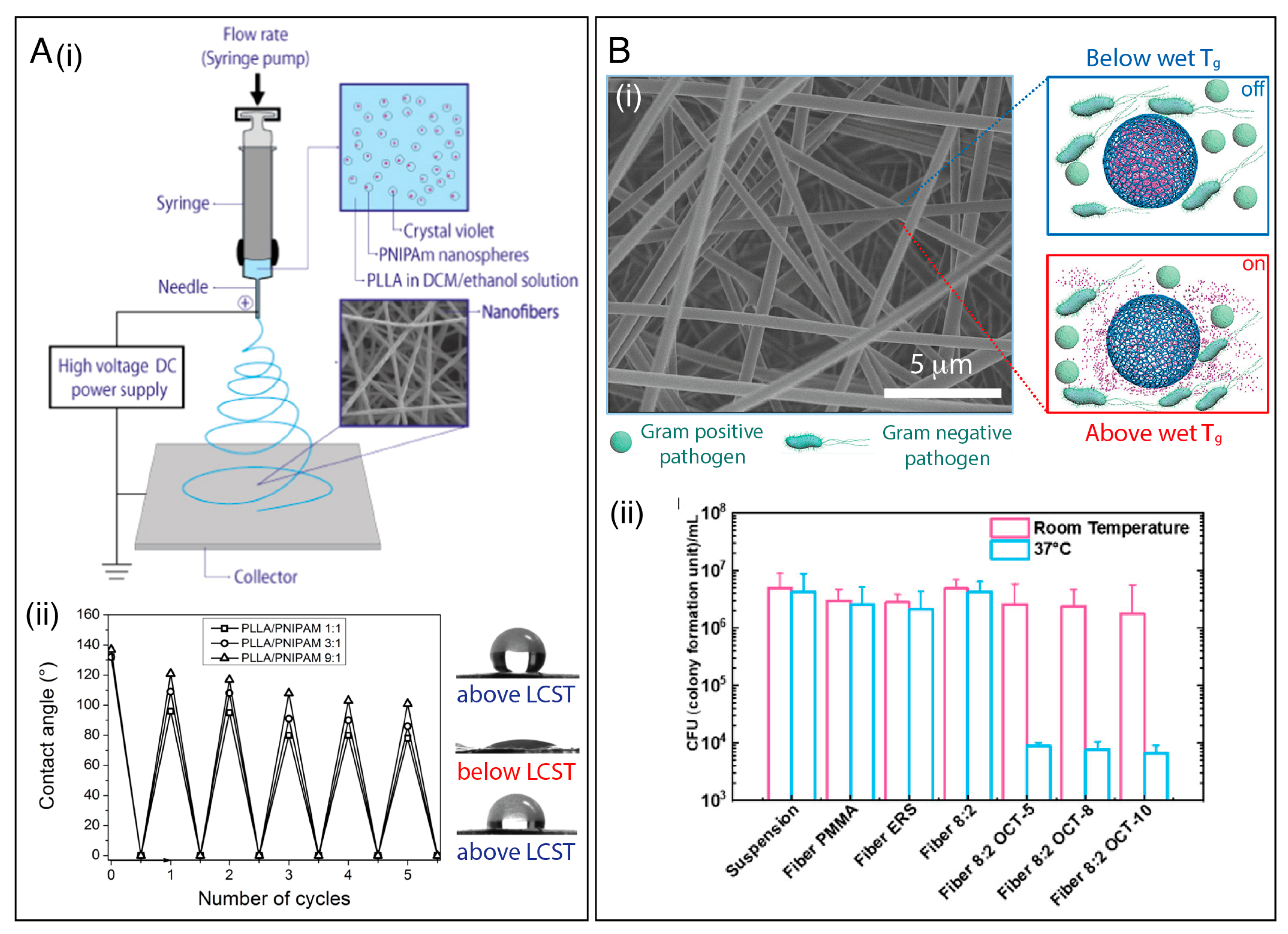 Polymers 15 04299 g004