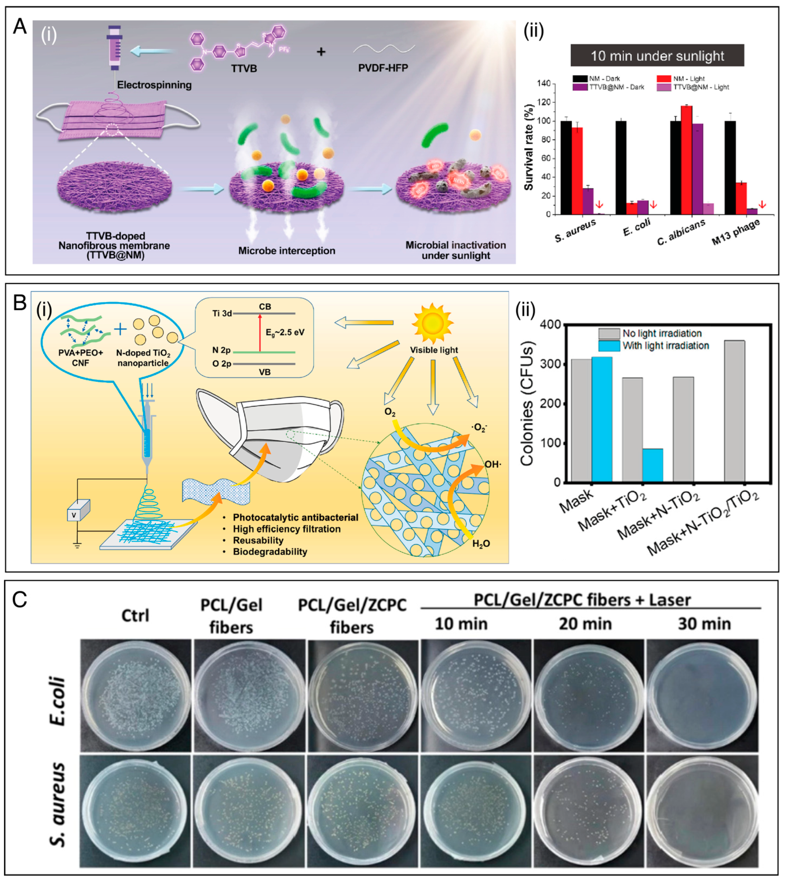 Polymers 15 04299 g005