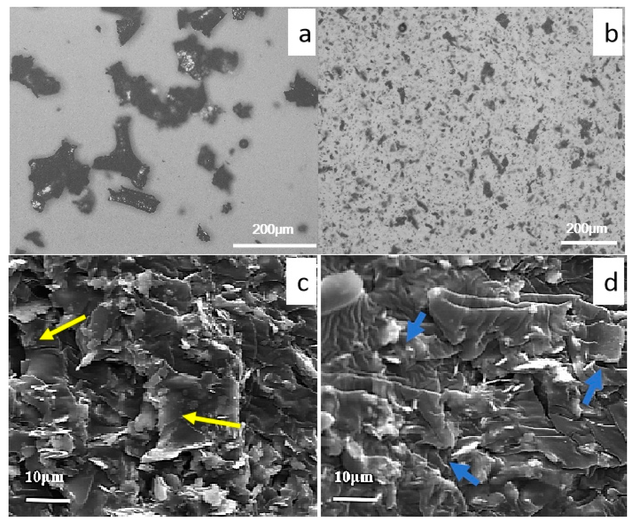 Polymers 15 04302 g002