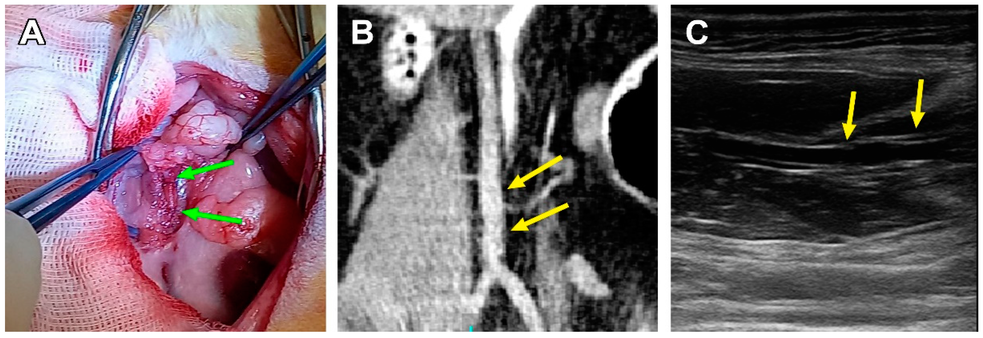 Polymers 15 04304 g004
