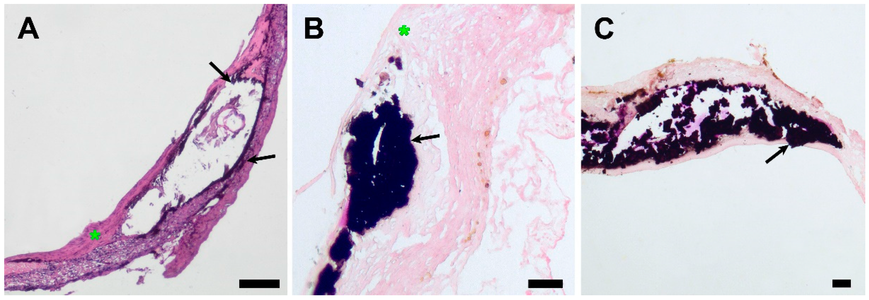 Polymers 15 04304 g008