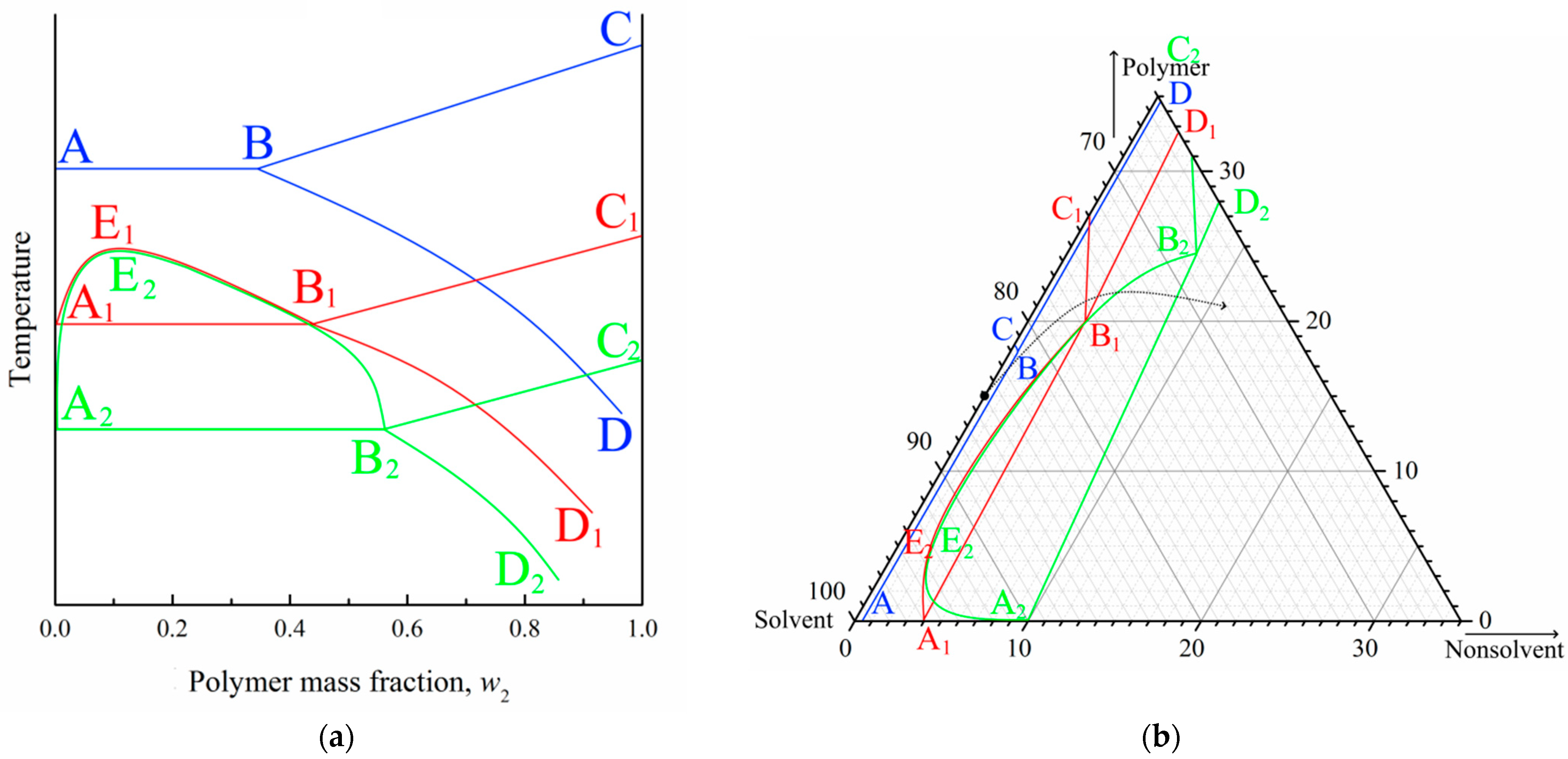 Polymers 15 04307 g006