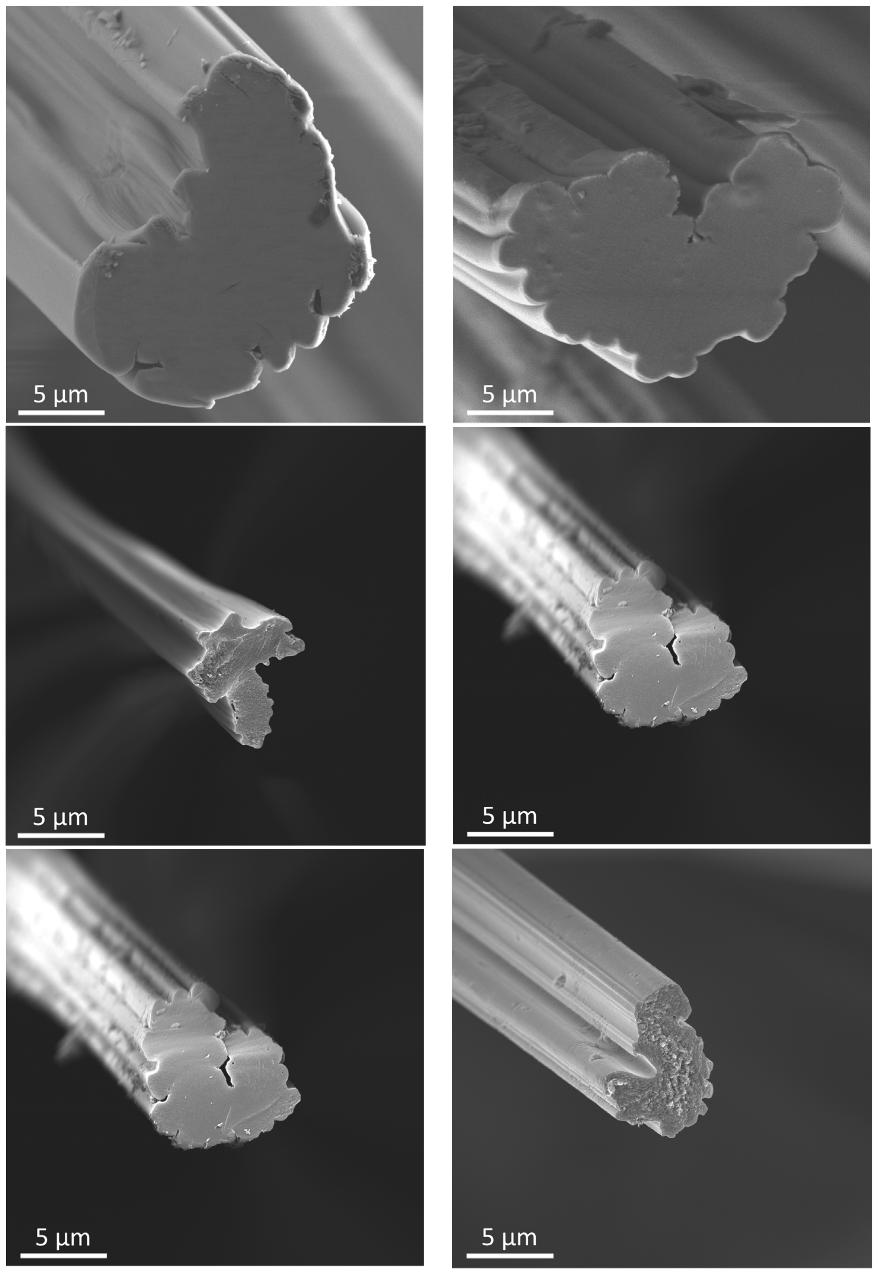 Polymers 15 04310 g007