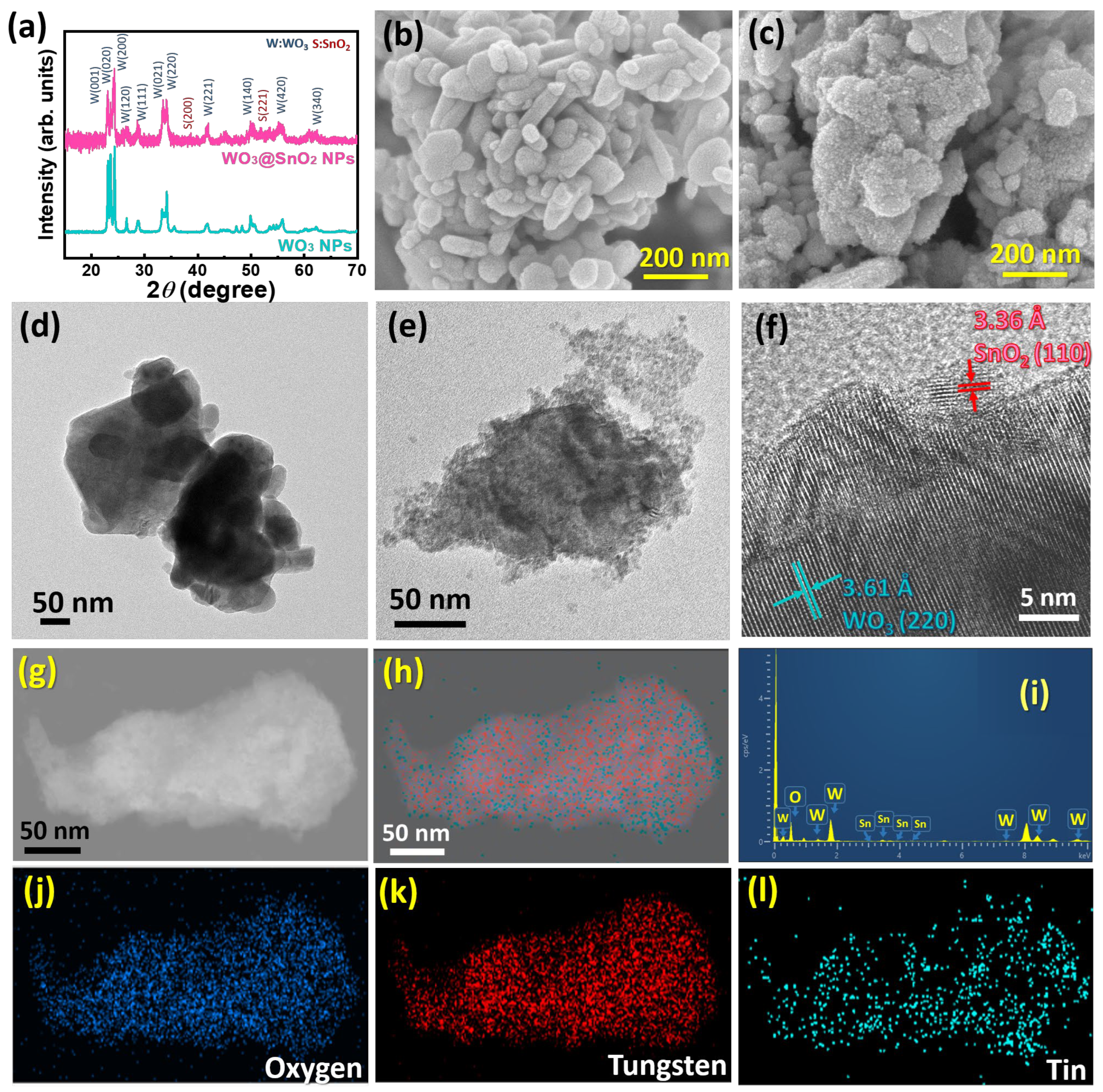 Polymers 15 04318 g001