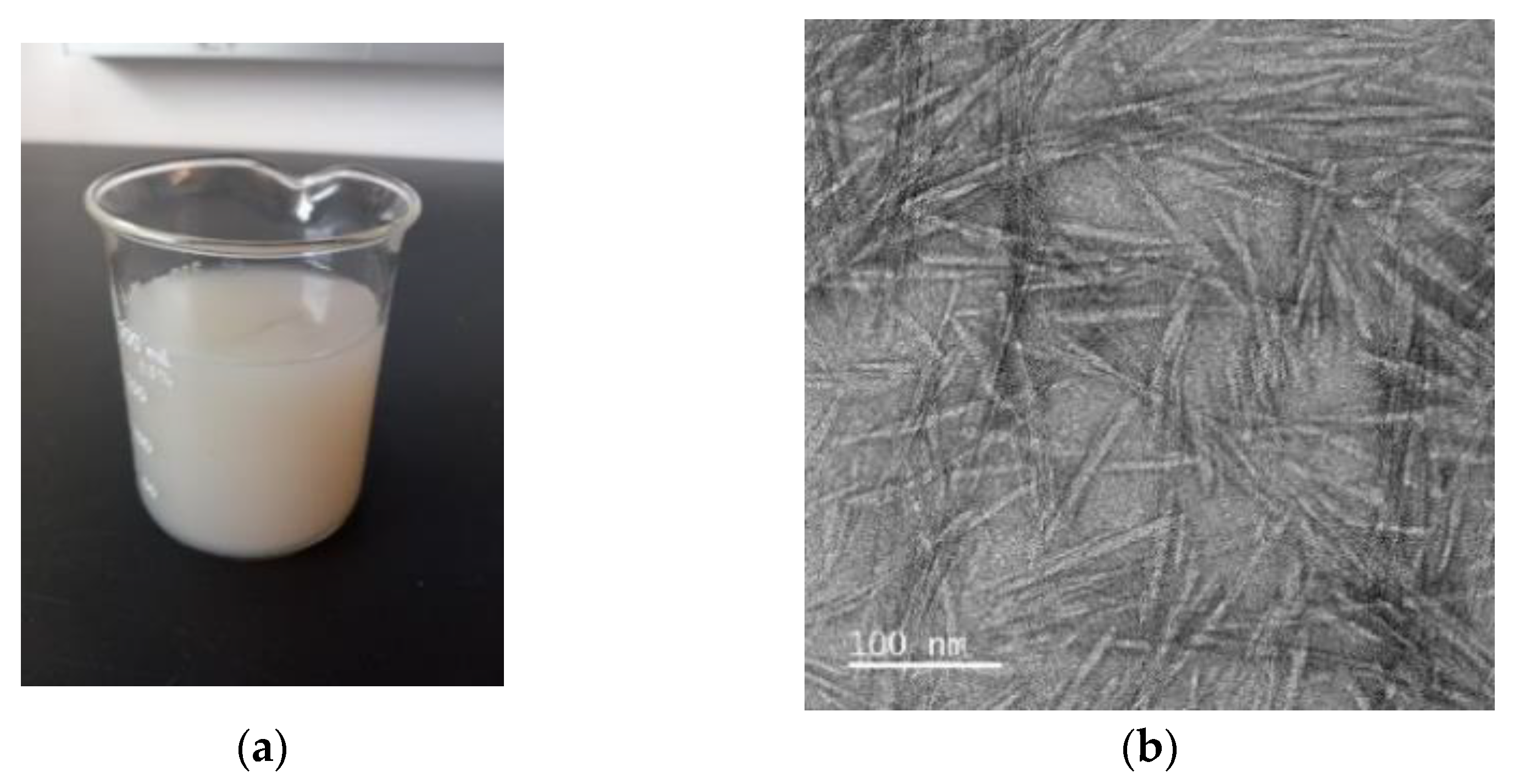 Polymers 15 04321 g001
