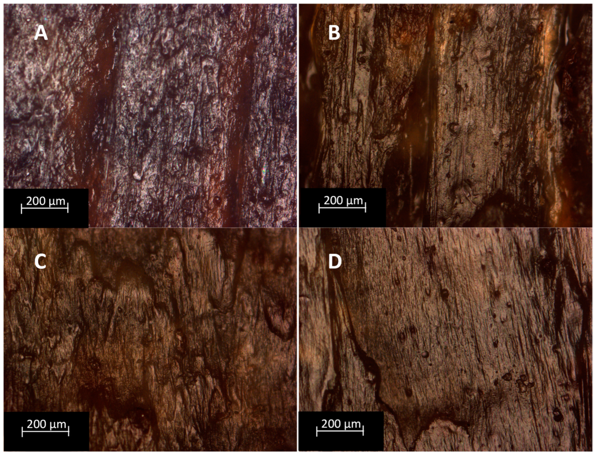 Polymers 15 04323 g006