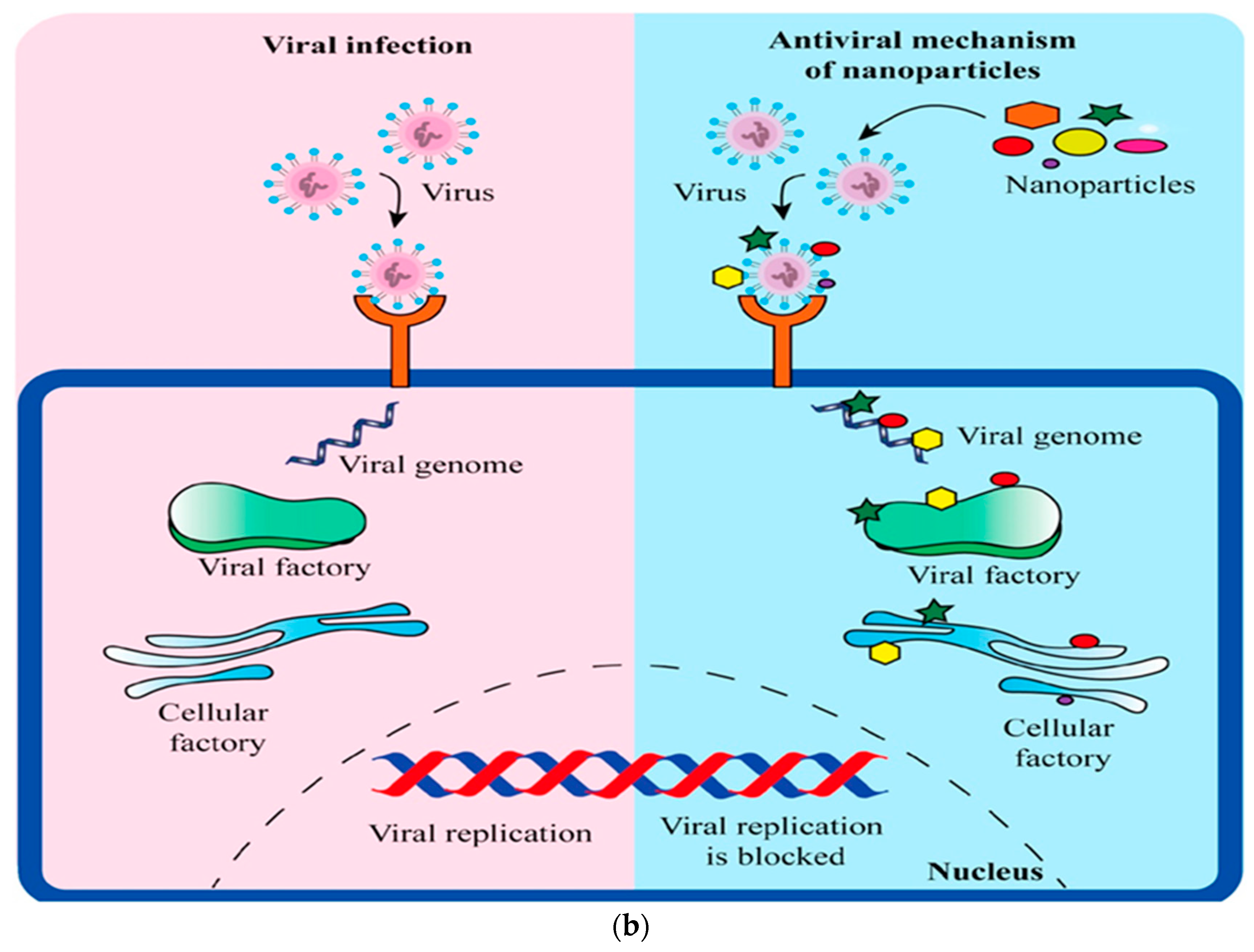 Polymers 15 04327 g005b
