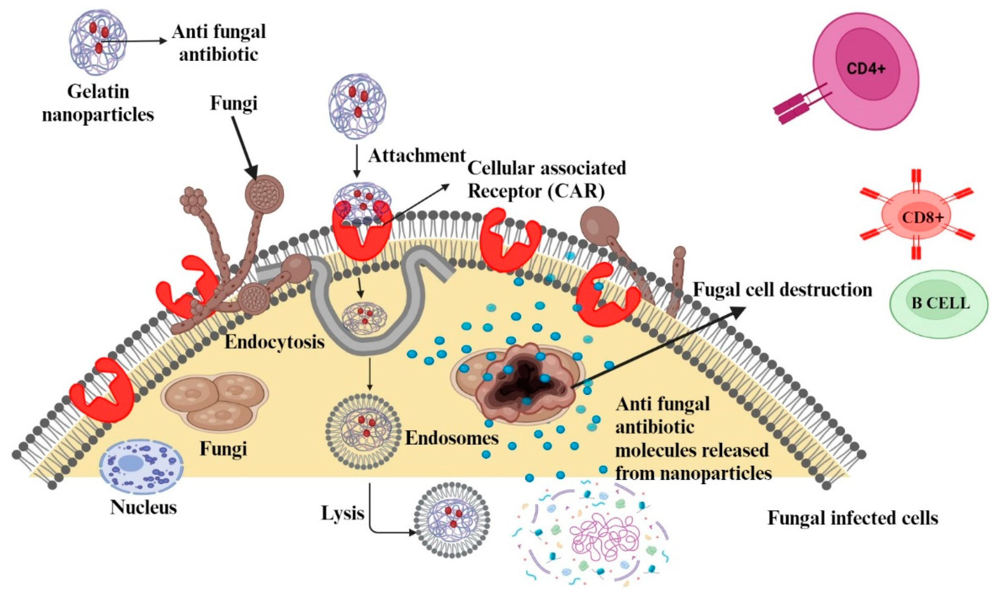 Polymers 15 04327 g008