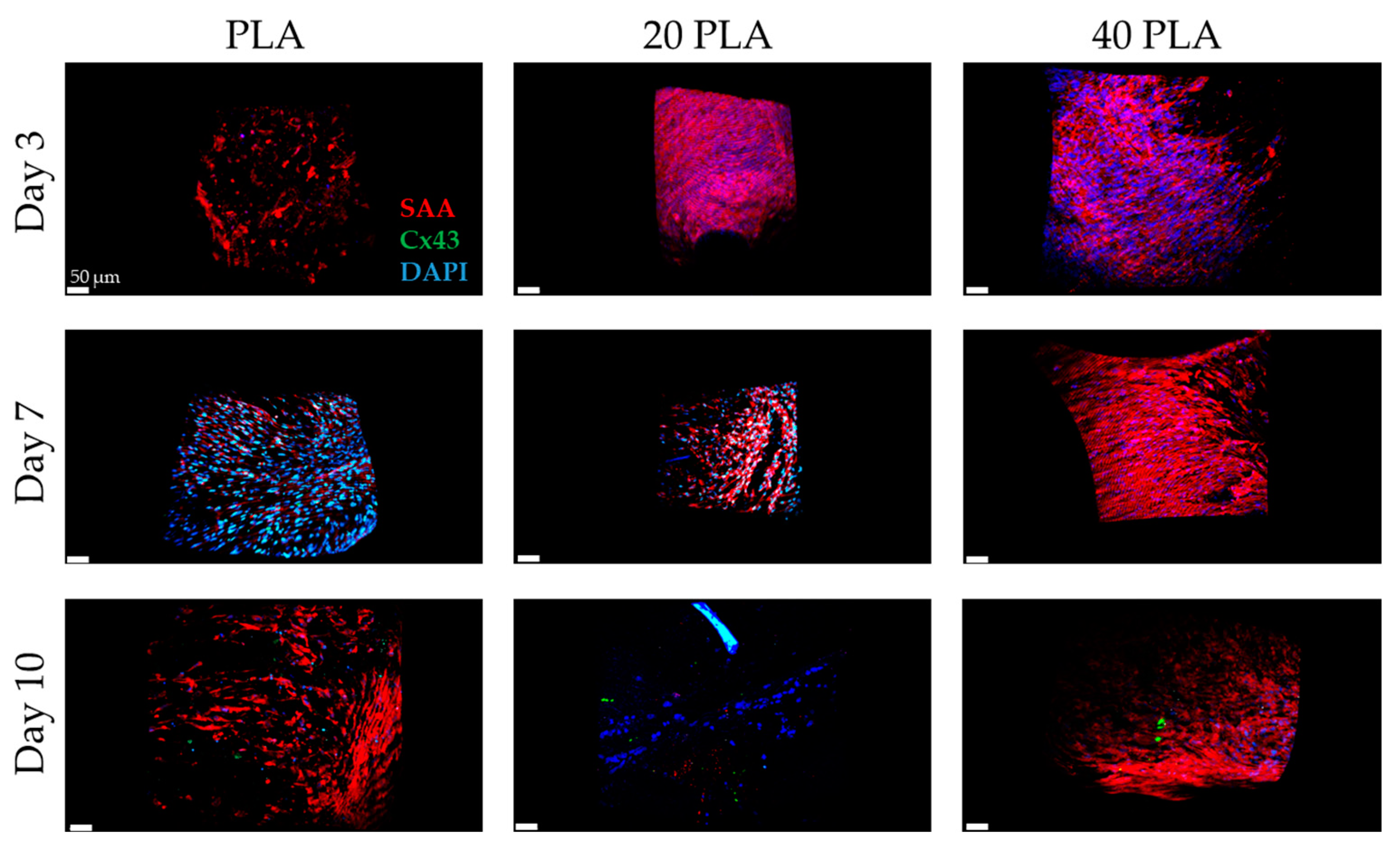 Polymers 15 04332 g009