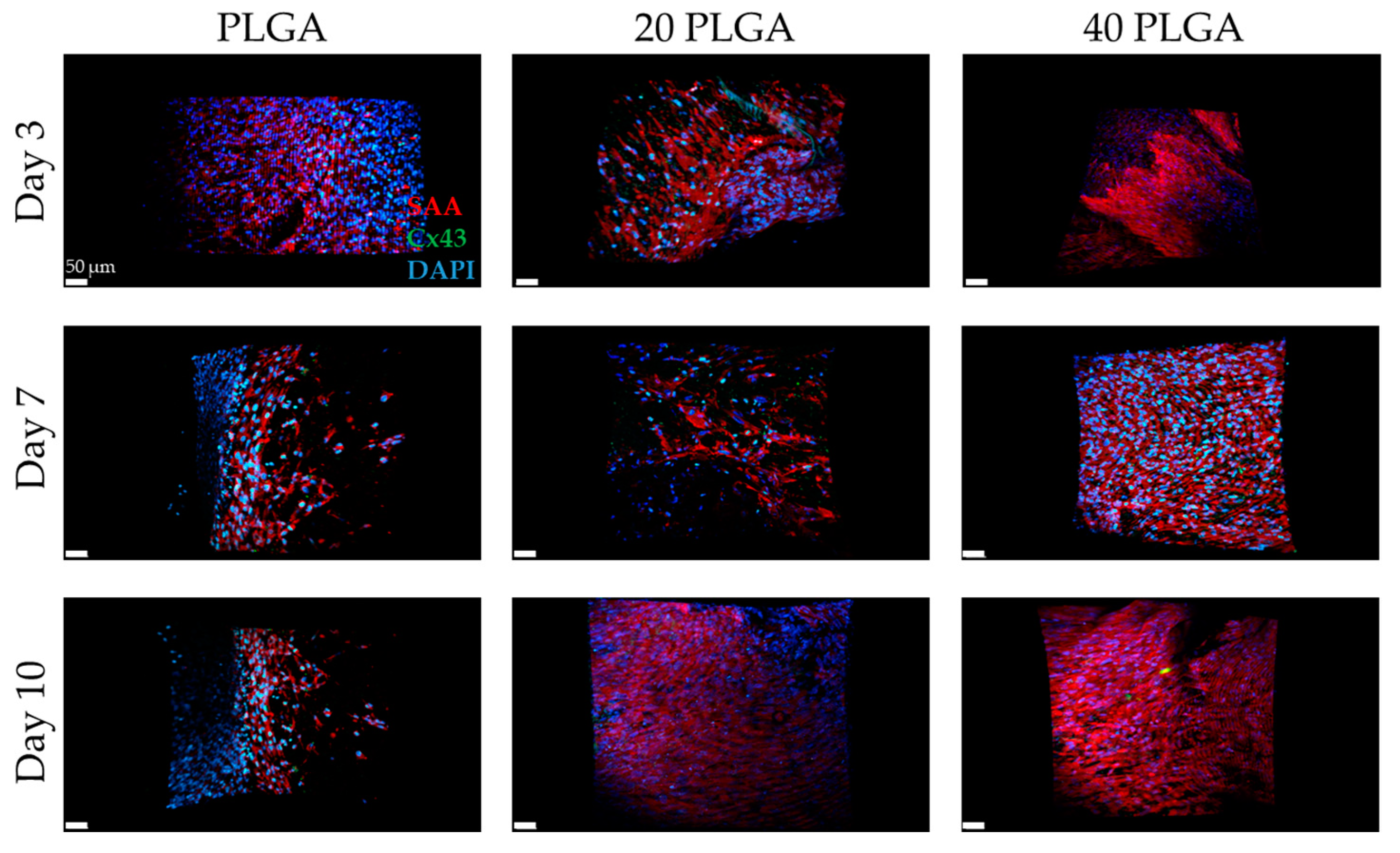 Polymers 15 04332 g010