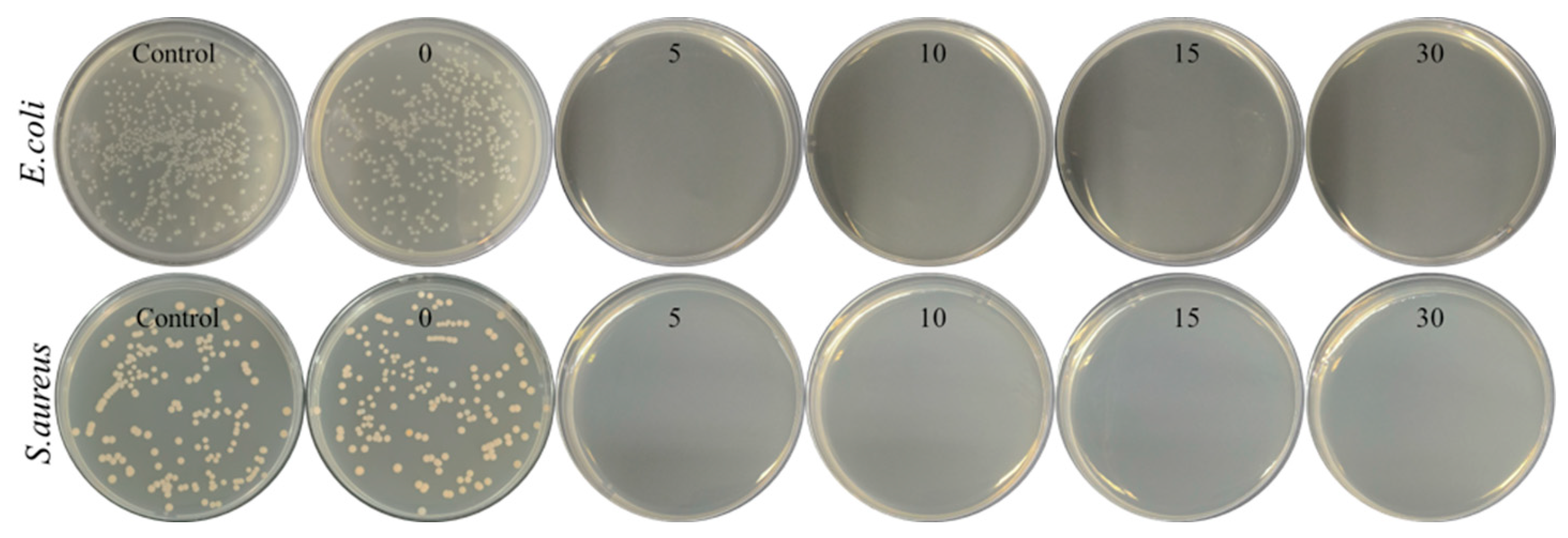 Polymers 15 04335 g006
