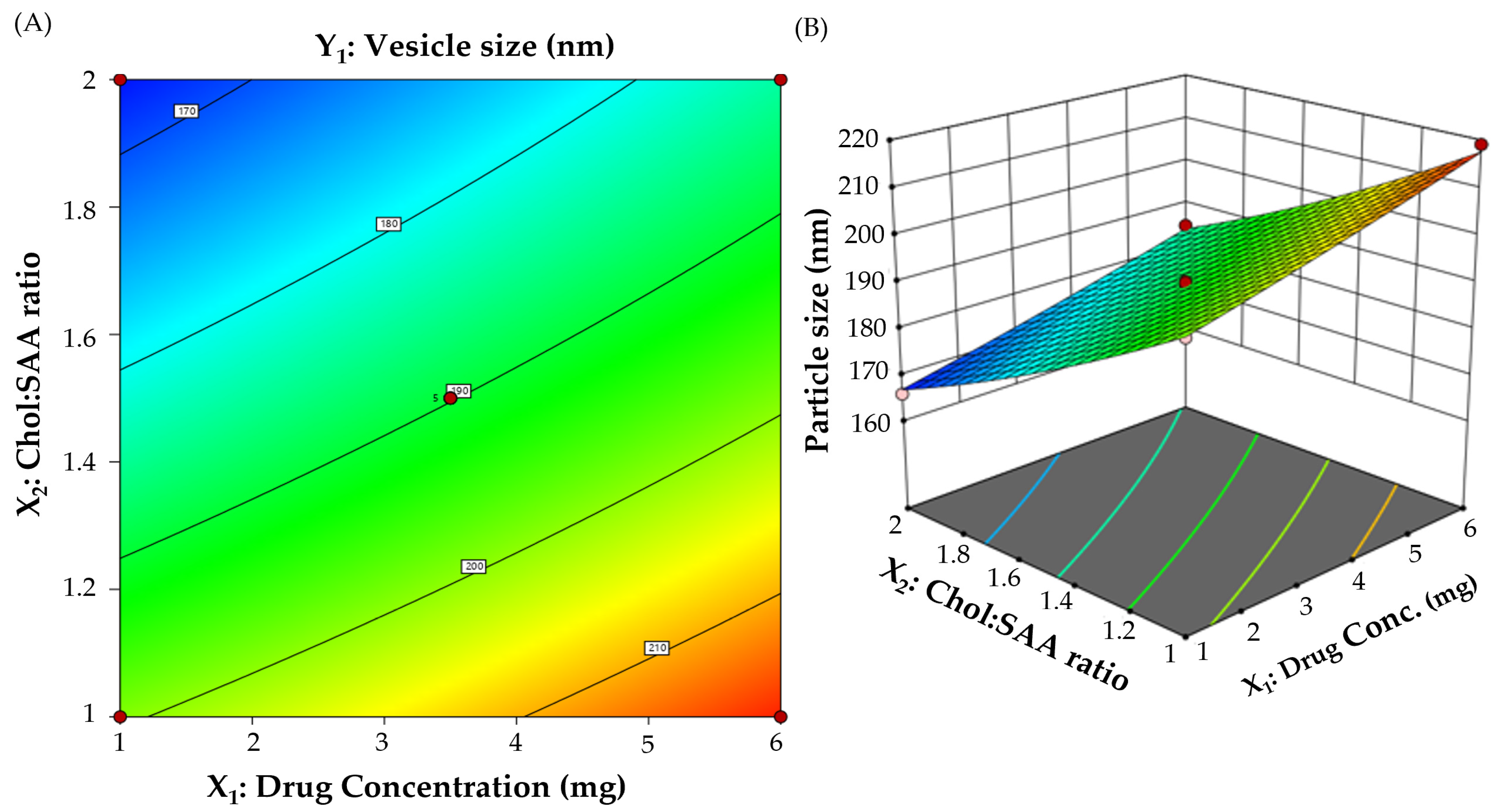 Polymers 15 04336 g001