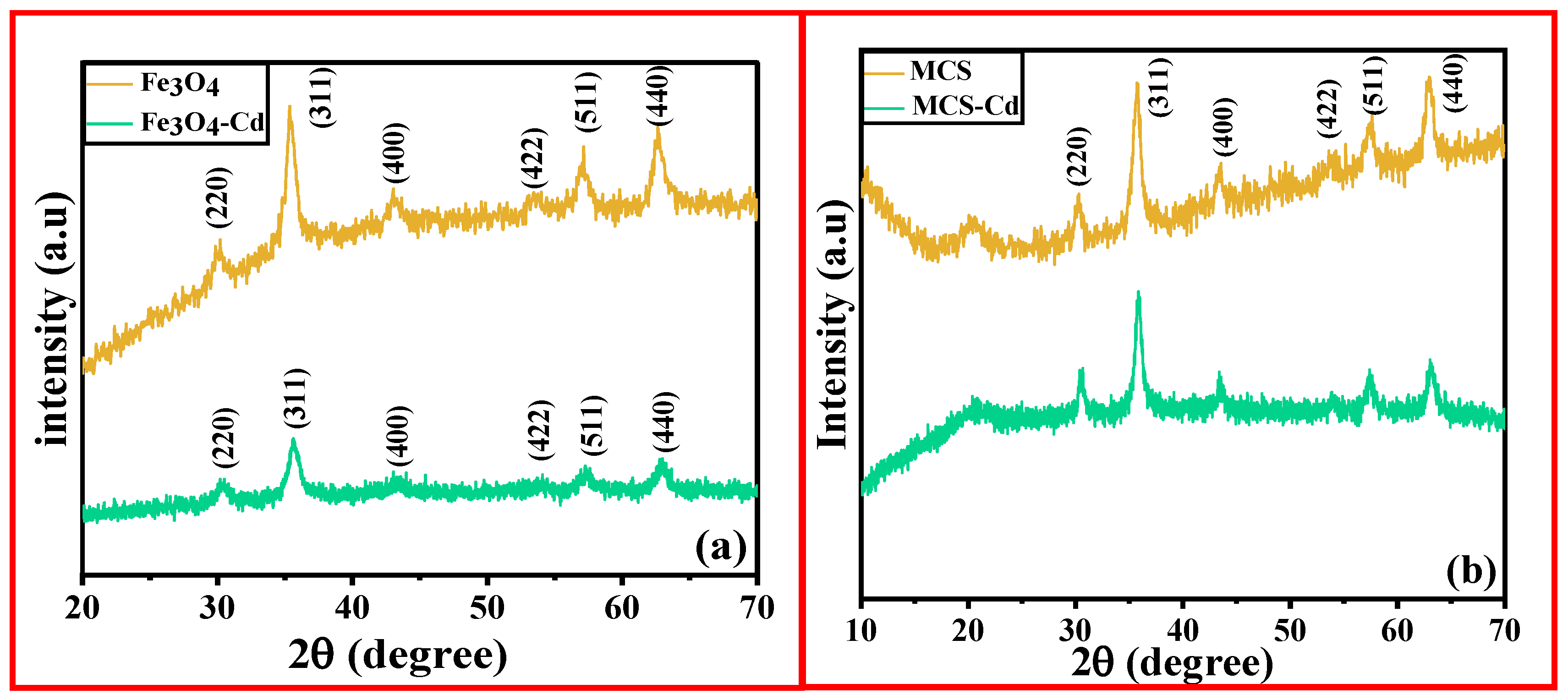 Polymers 15 04339 g003