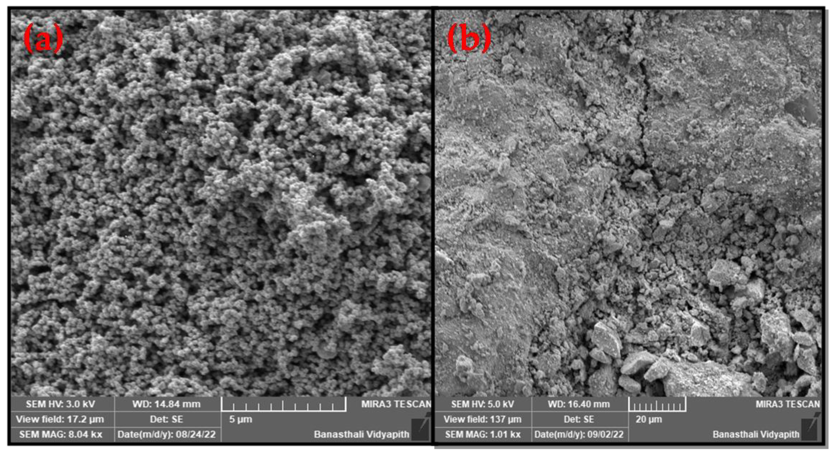 Polymers 15 04339 g006