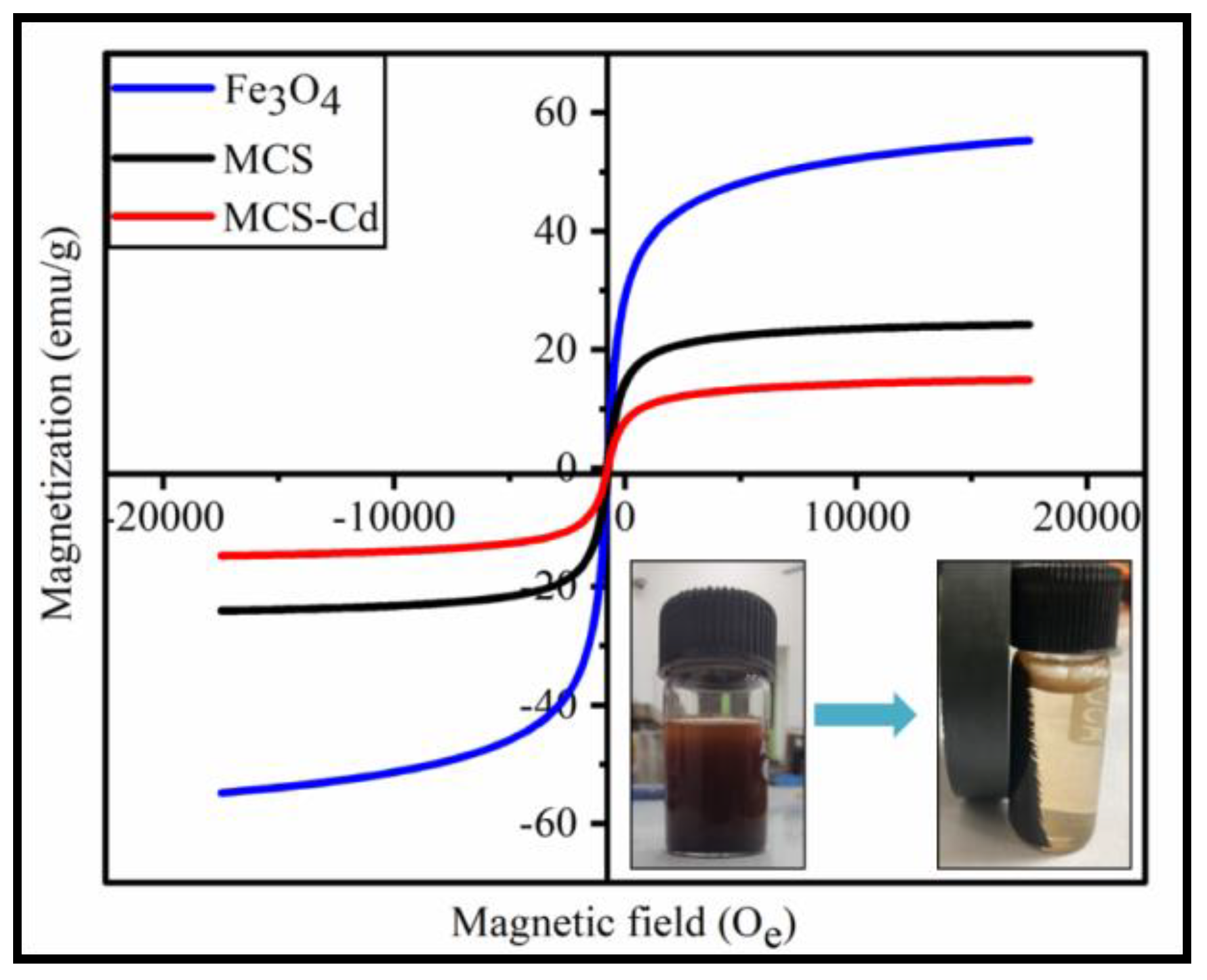Polymers 15 04339 g007