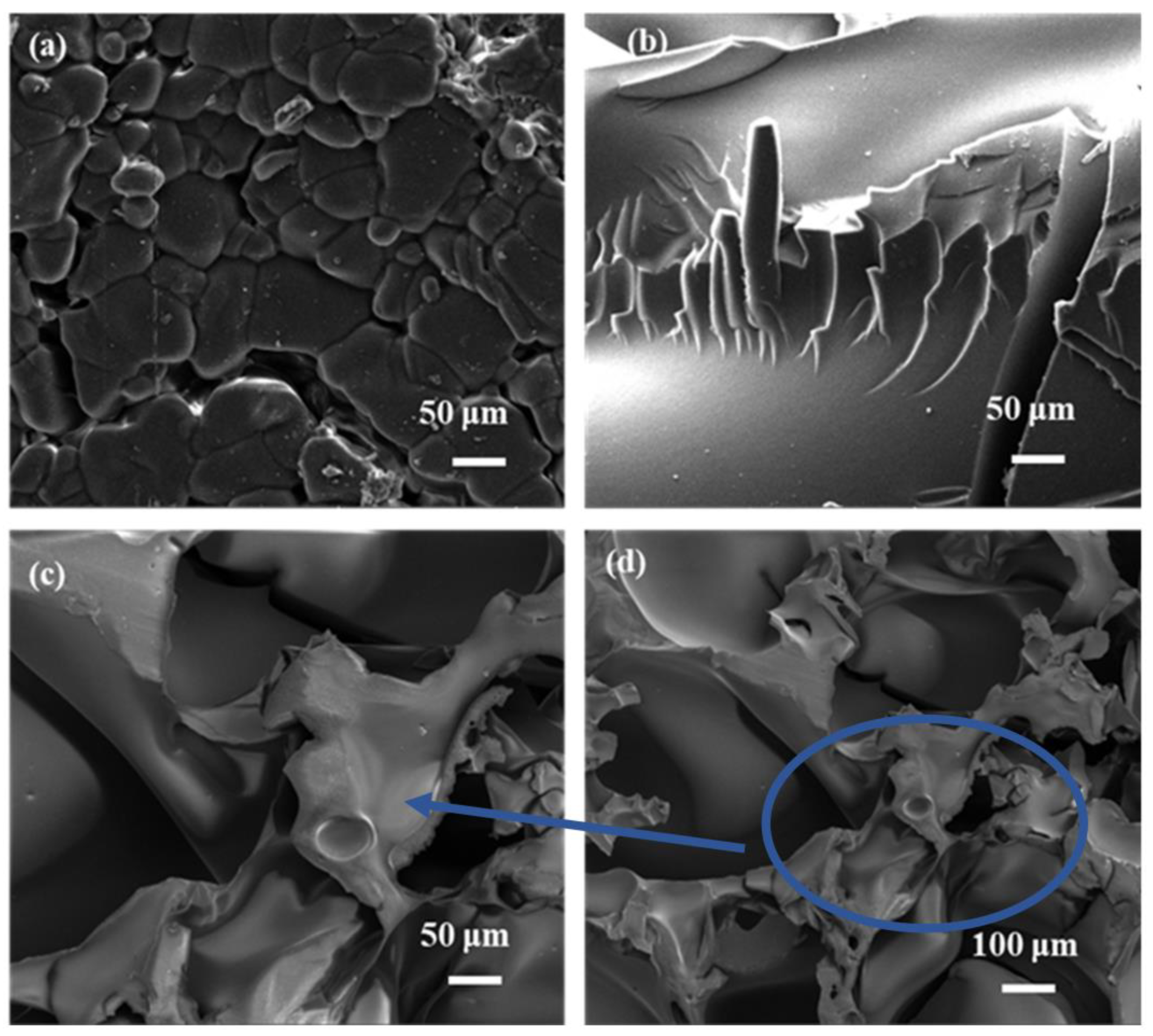 Polymers 15 04341 g001