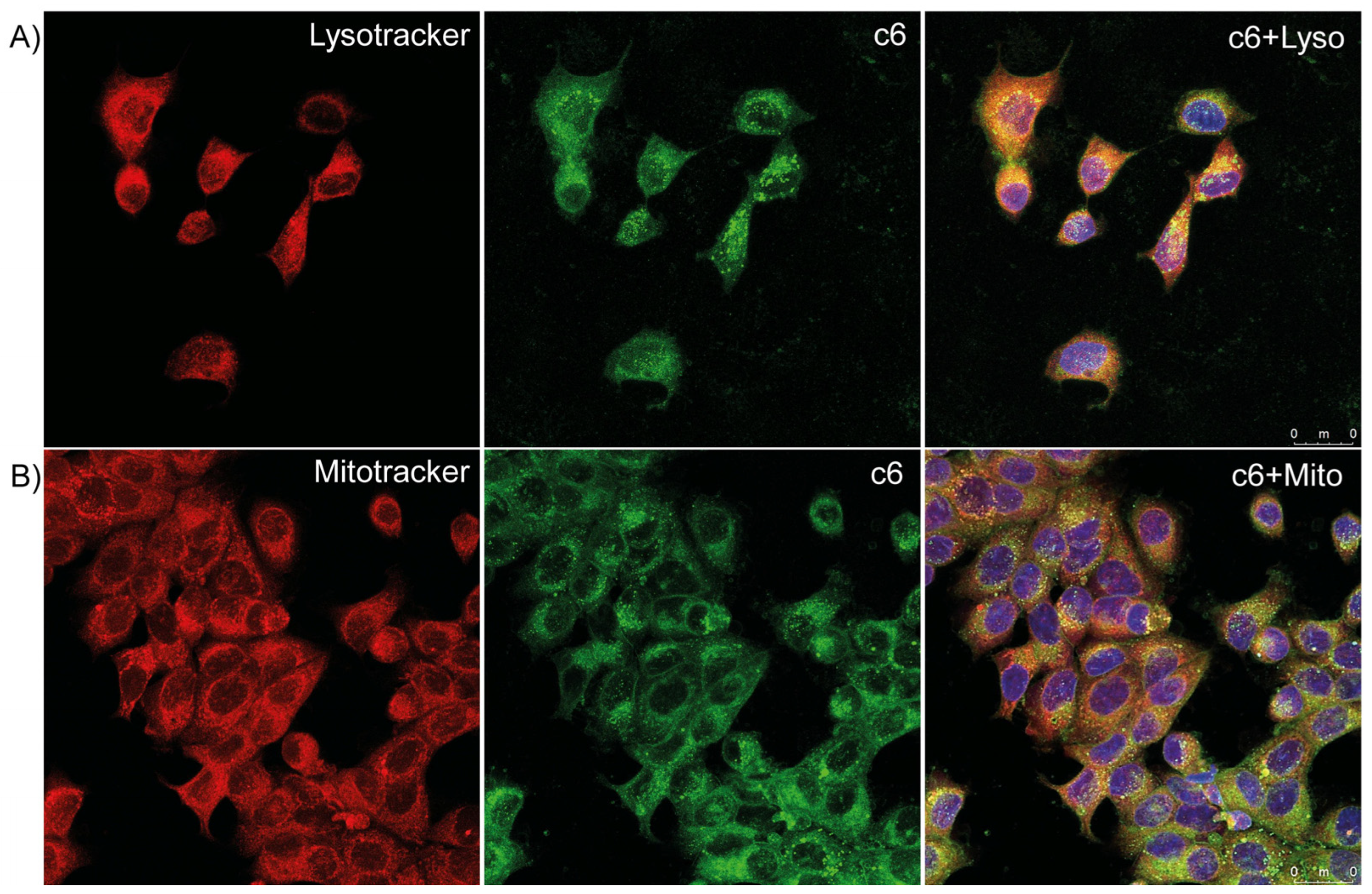 Polymers 15 04342 g008