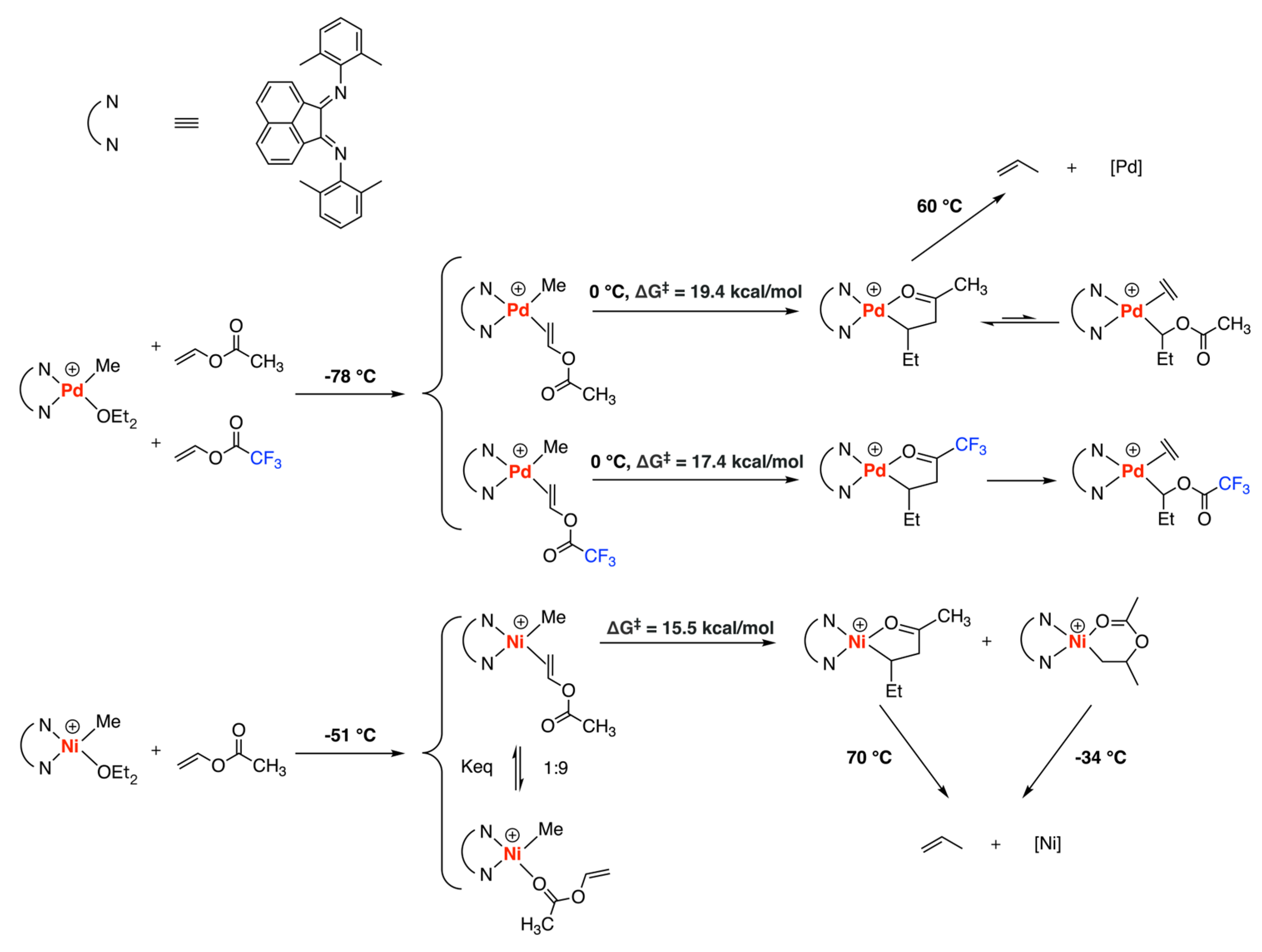Polymers 15 04343 g007