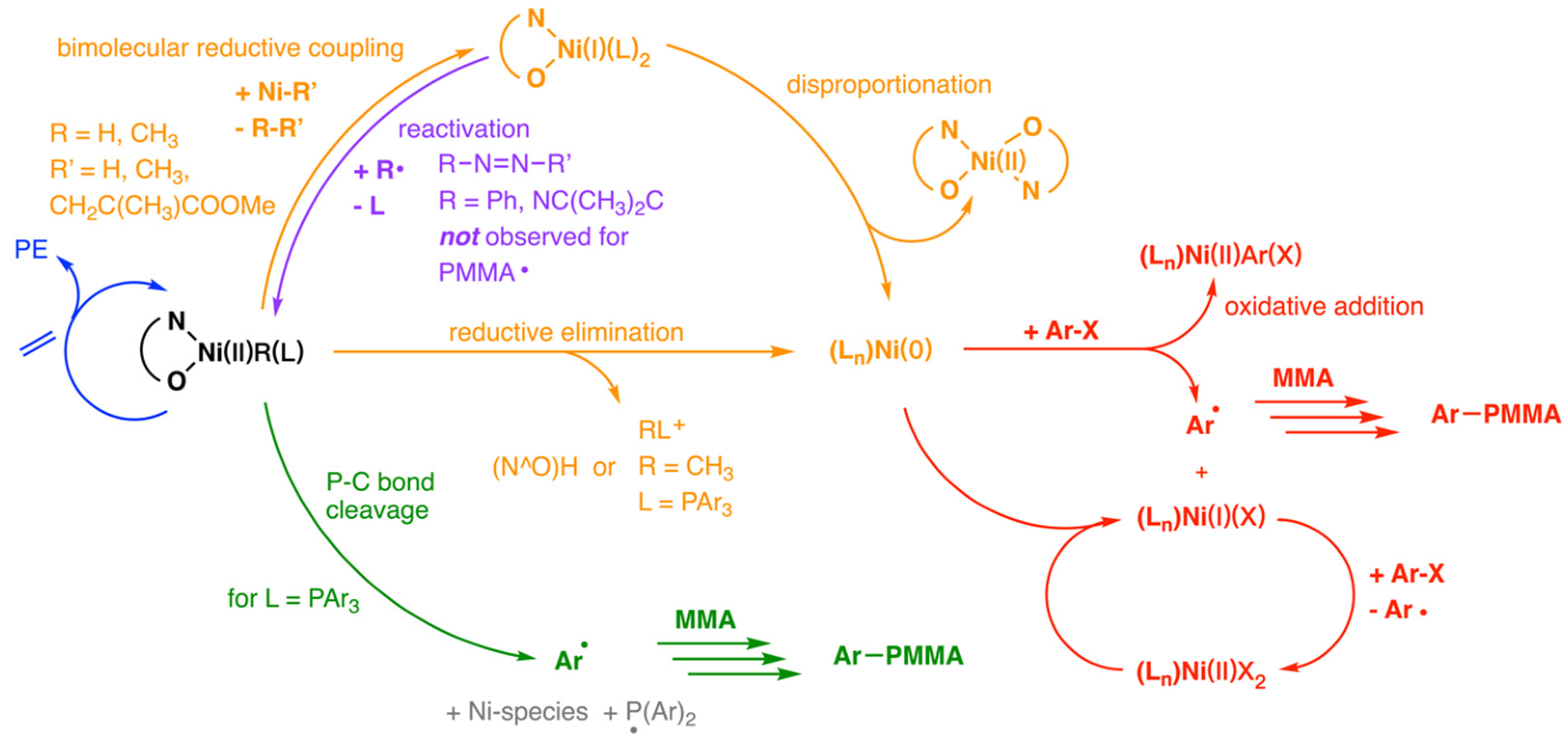 Polymers 15 04343 g013