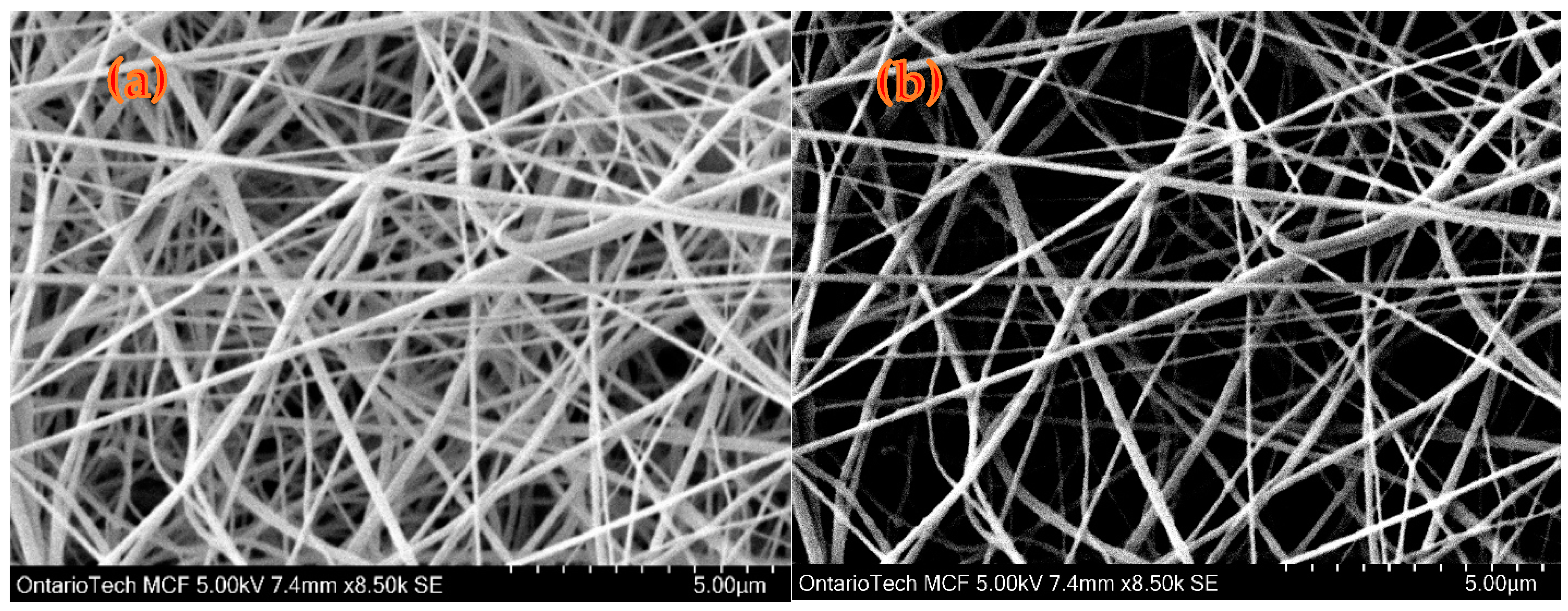 Polymers 15 04344 g003