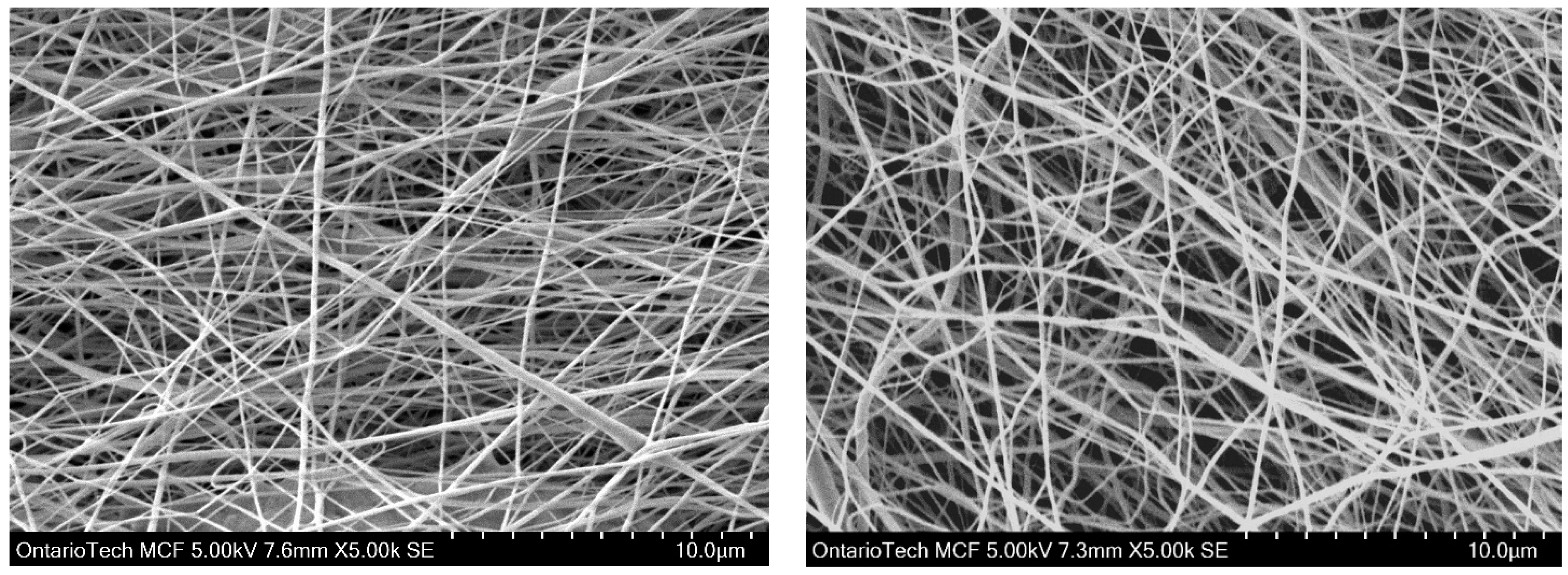 Polymers 15 04344 g005