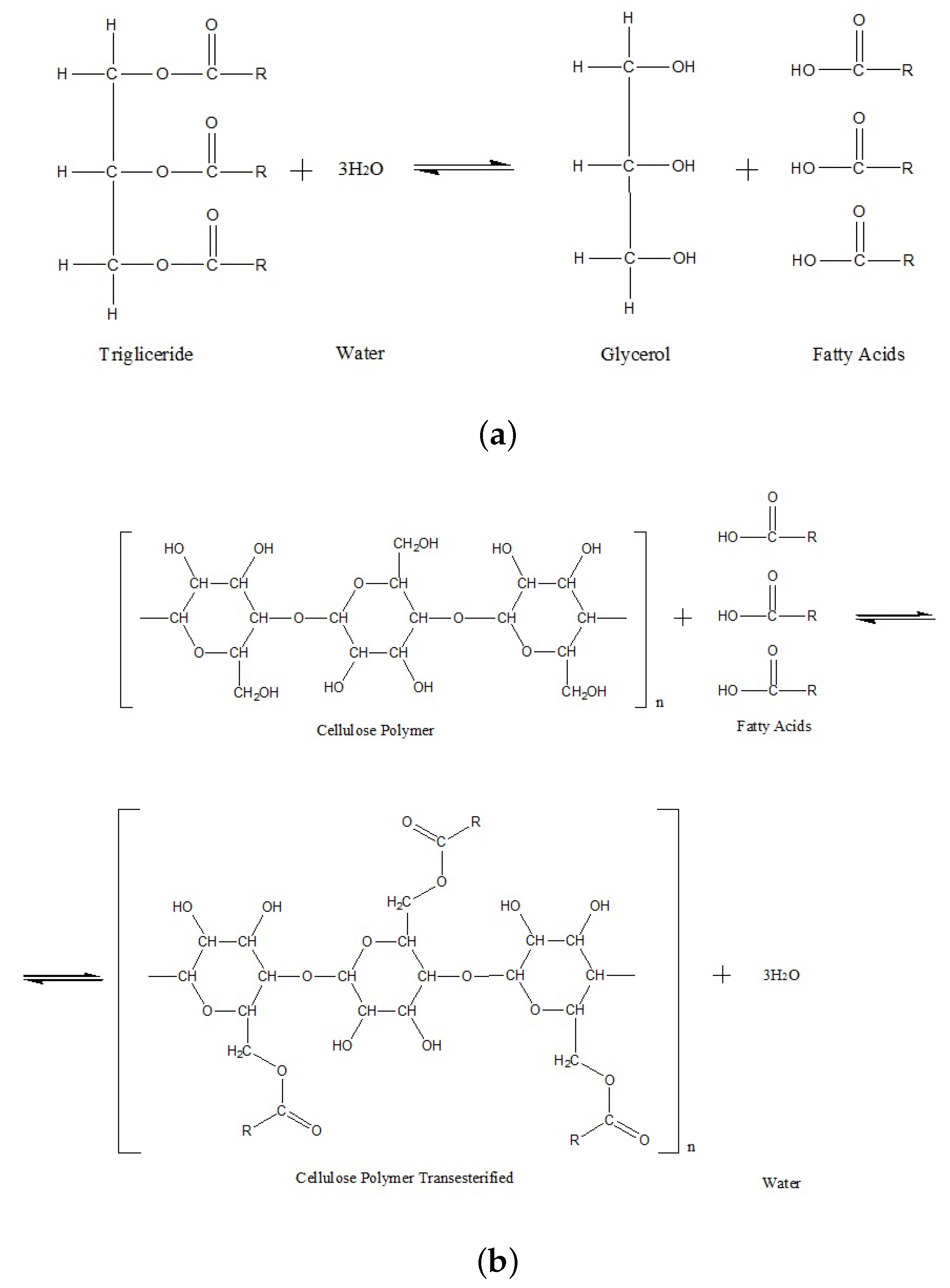 Polymers 15 04345 g012