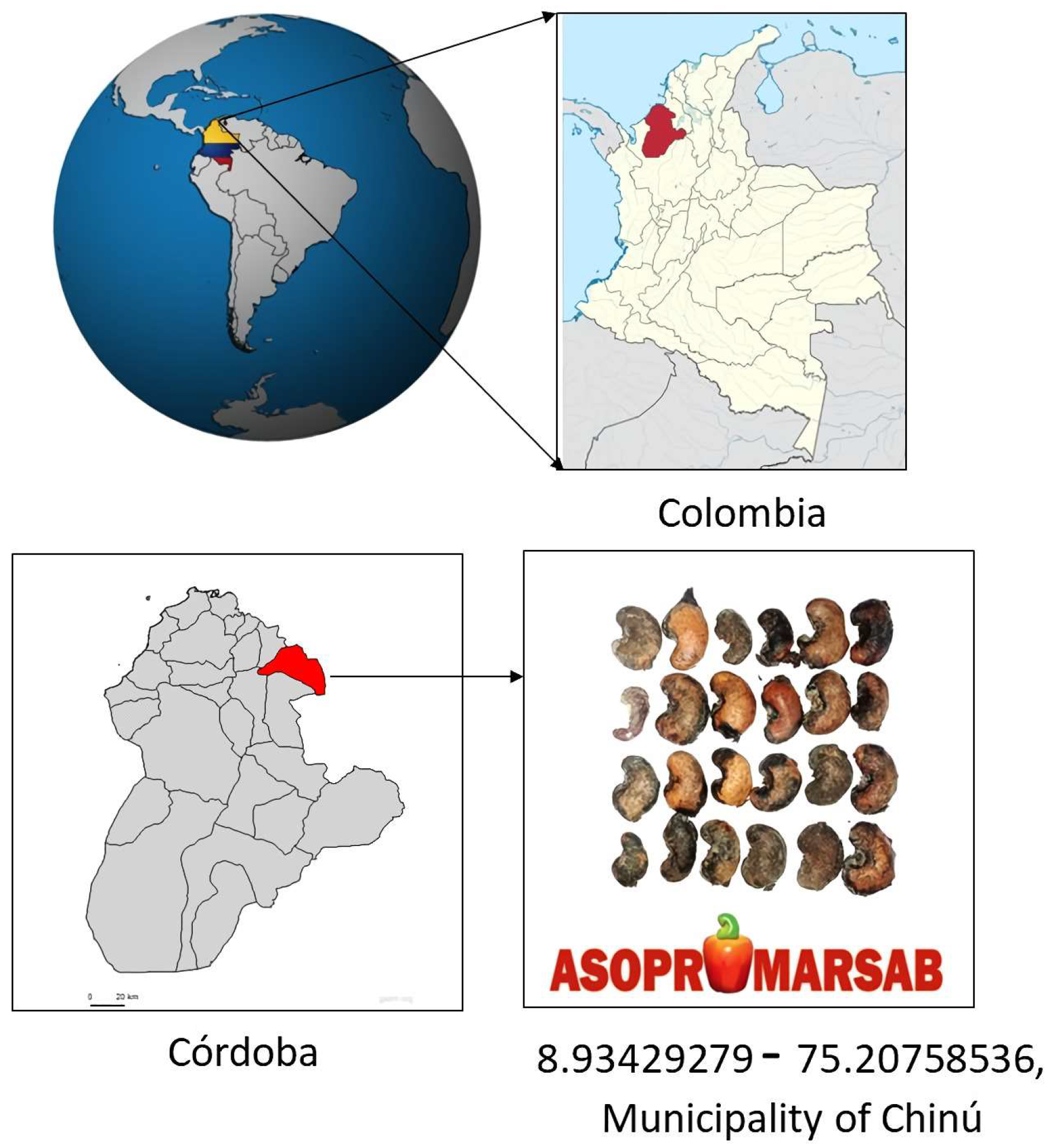 Polymers 15 04347 g001 Polymers 15 04347 g001