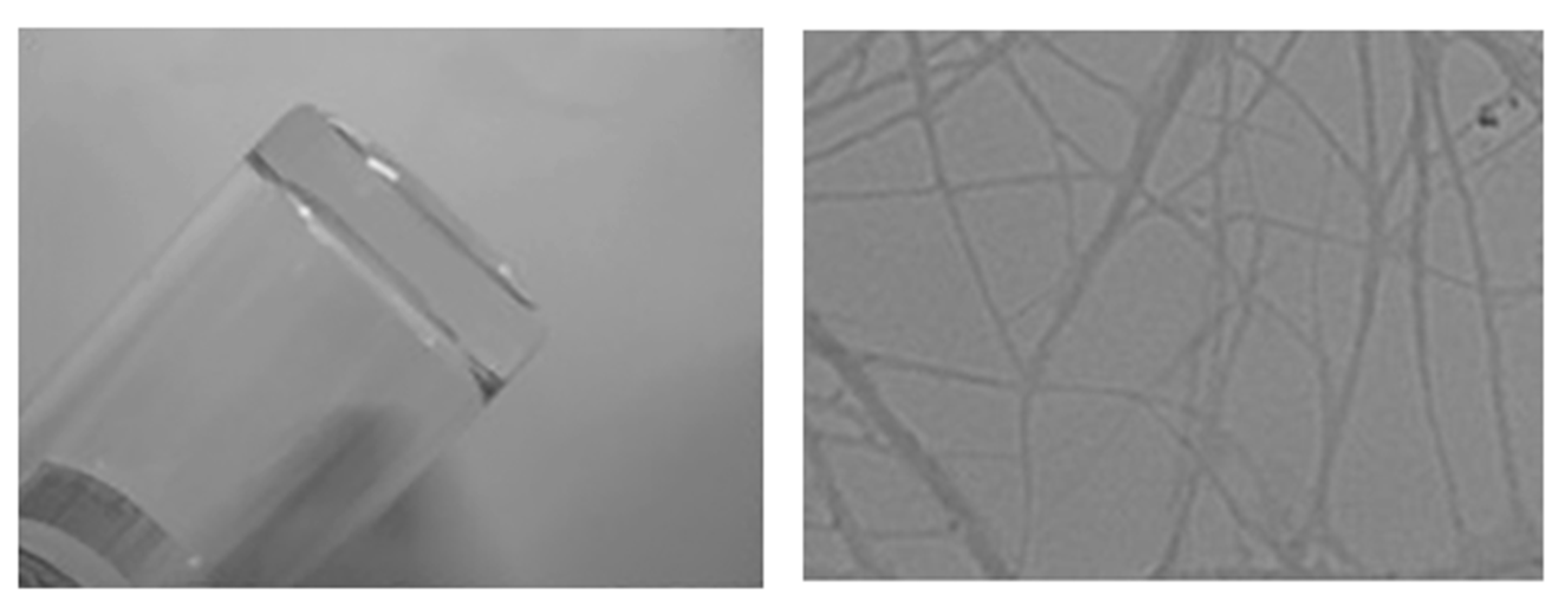 Polymers 15 04351 g004