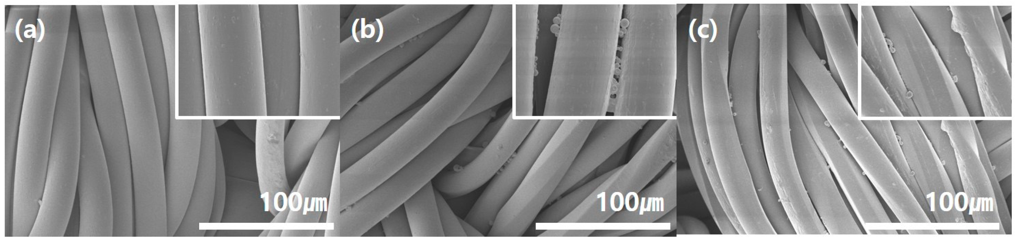 Polymers 15 04352 g005