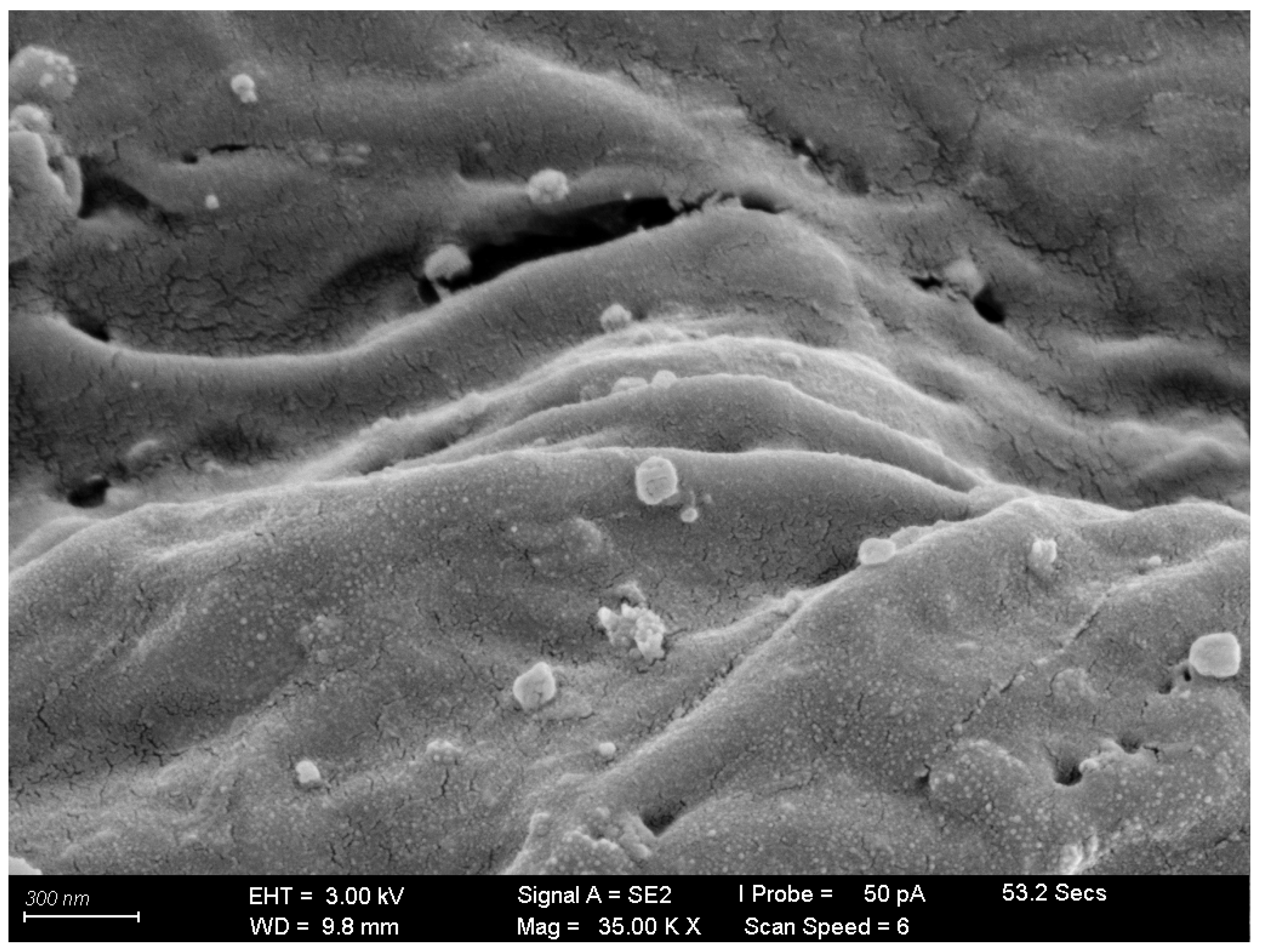 Polymers 15 04353 g005