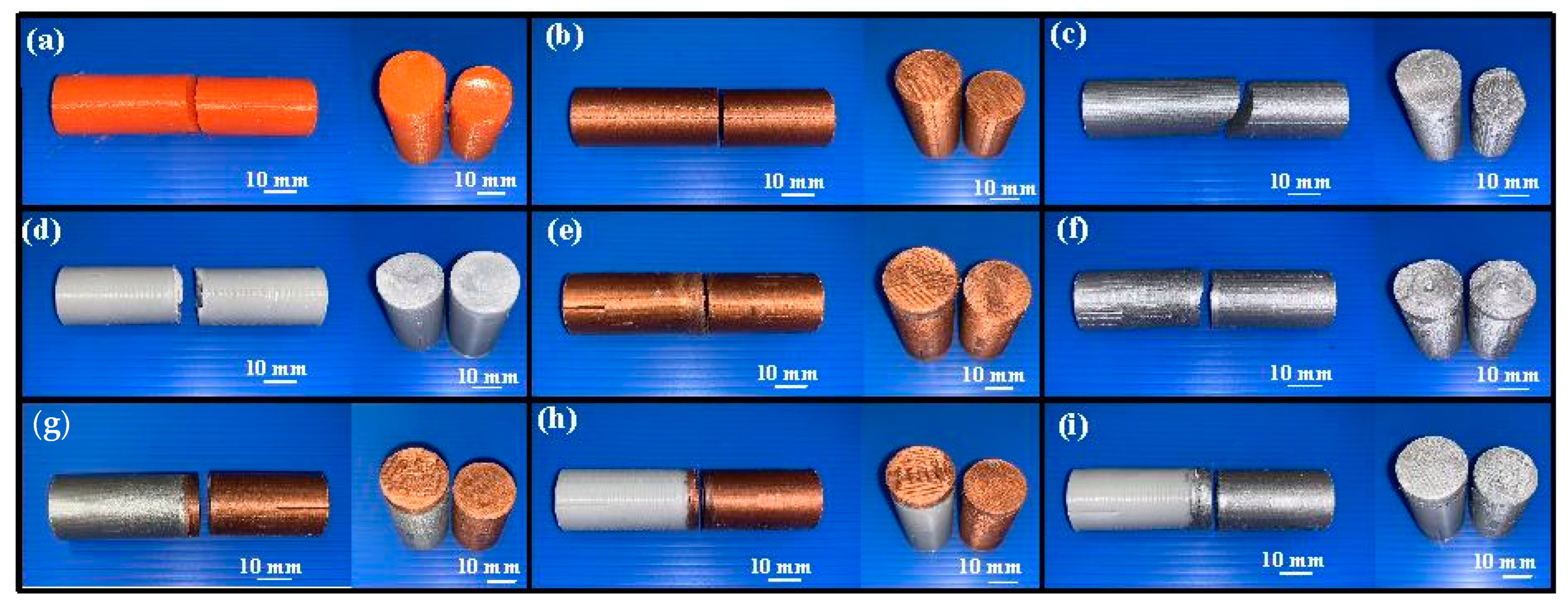 Polymers 15 04354 g010