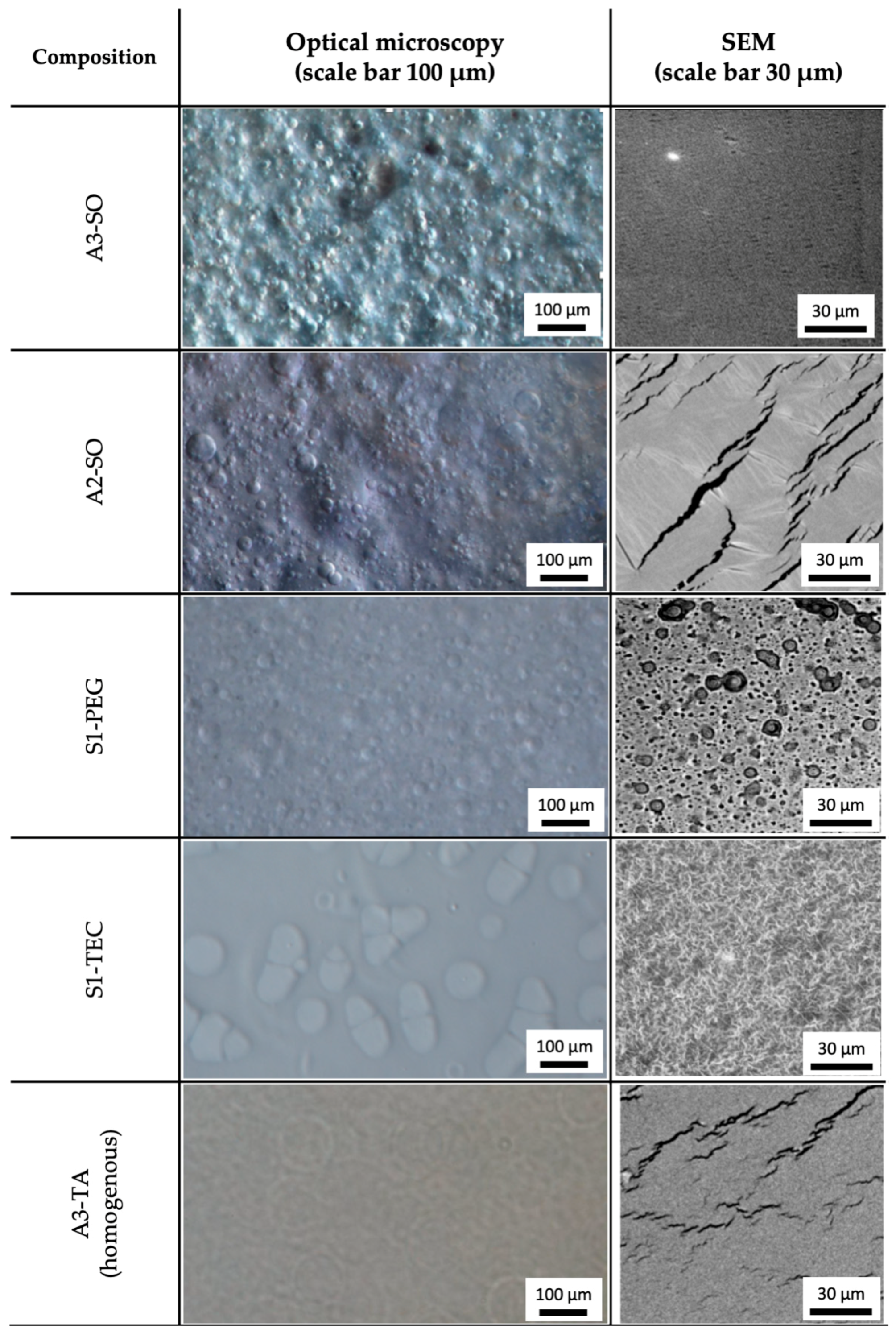Polymers 15 04355 g005