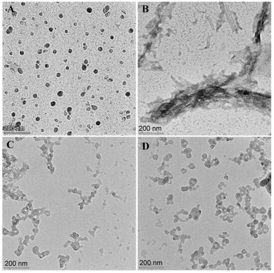 A Molecular Integrative Study on the Inhibitory Effects of WRR and