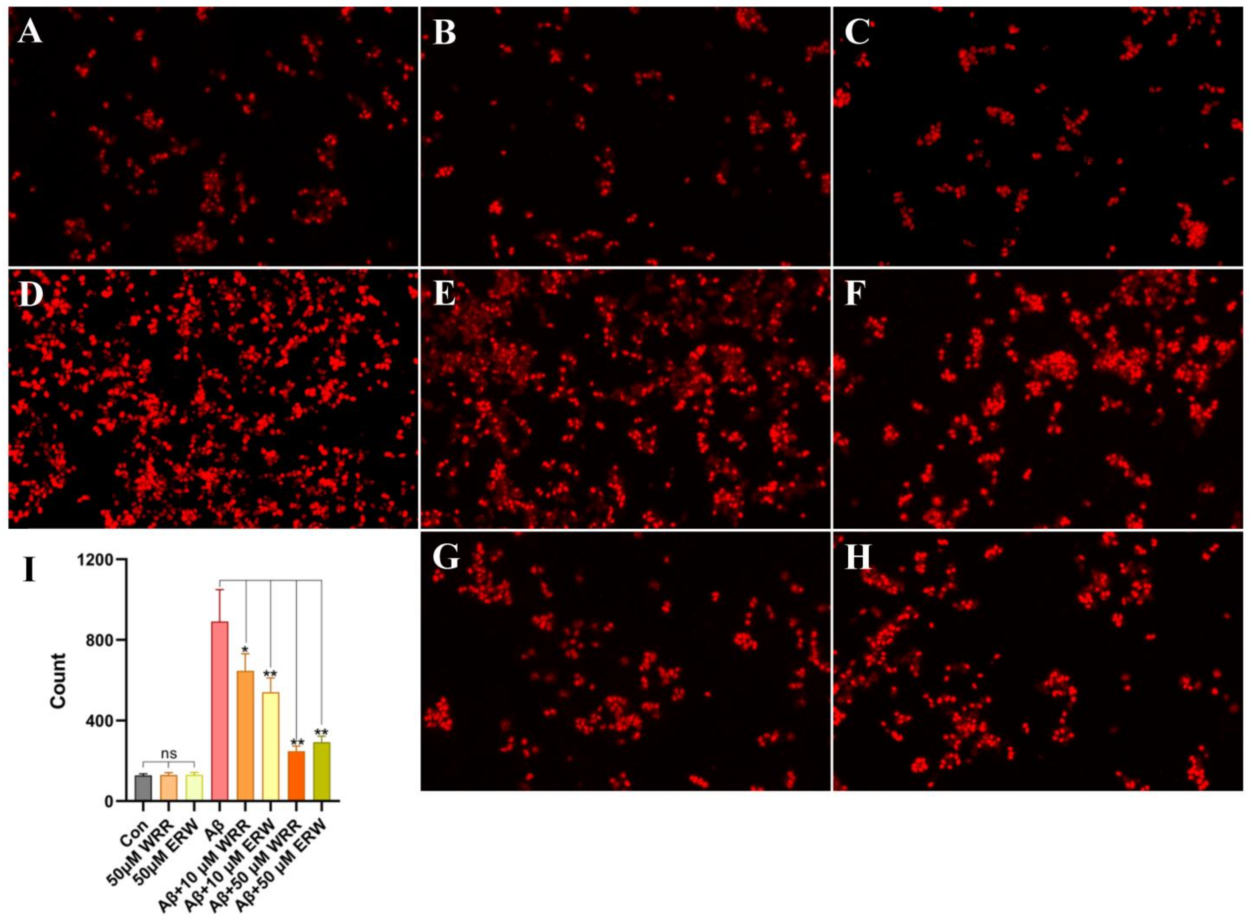 Polymers 15 04356 g006