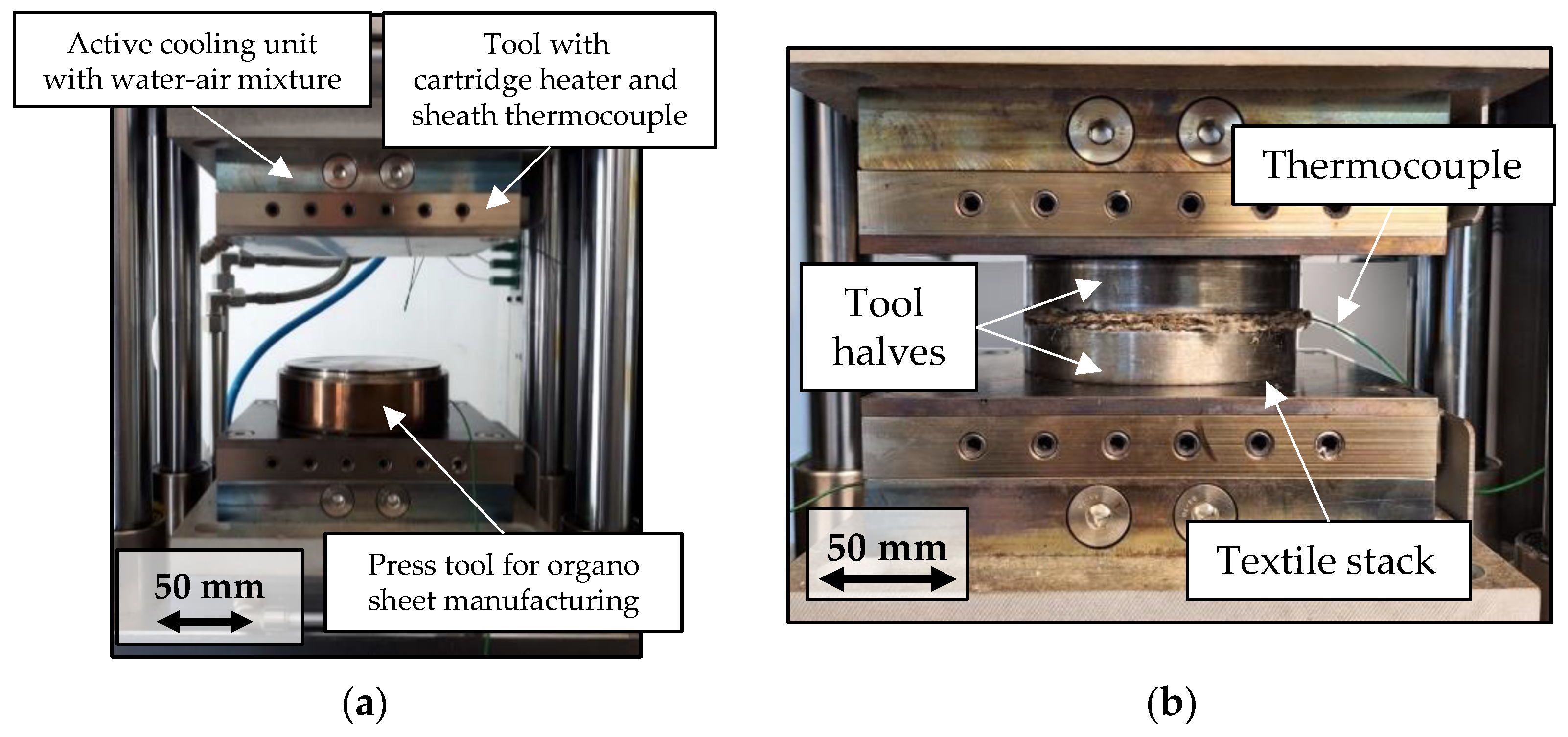 Polymers 15 04357 g005