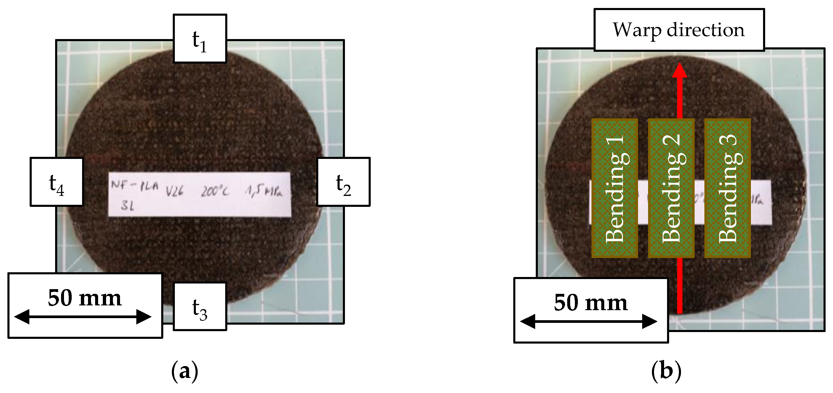 Polymers 15 04357 g008