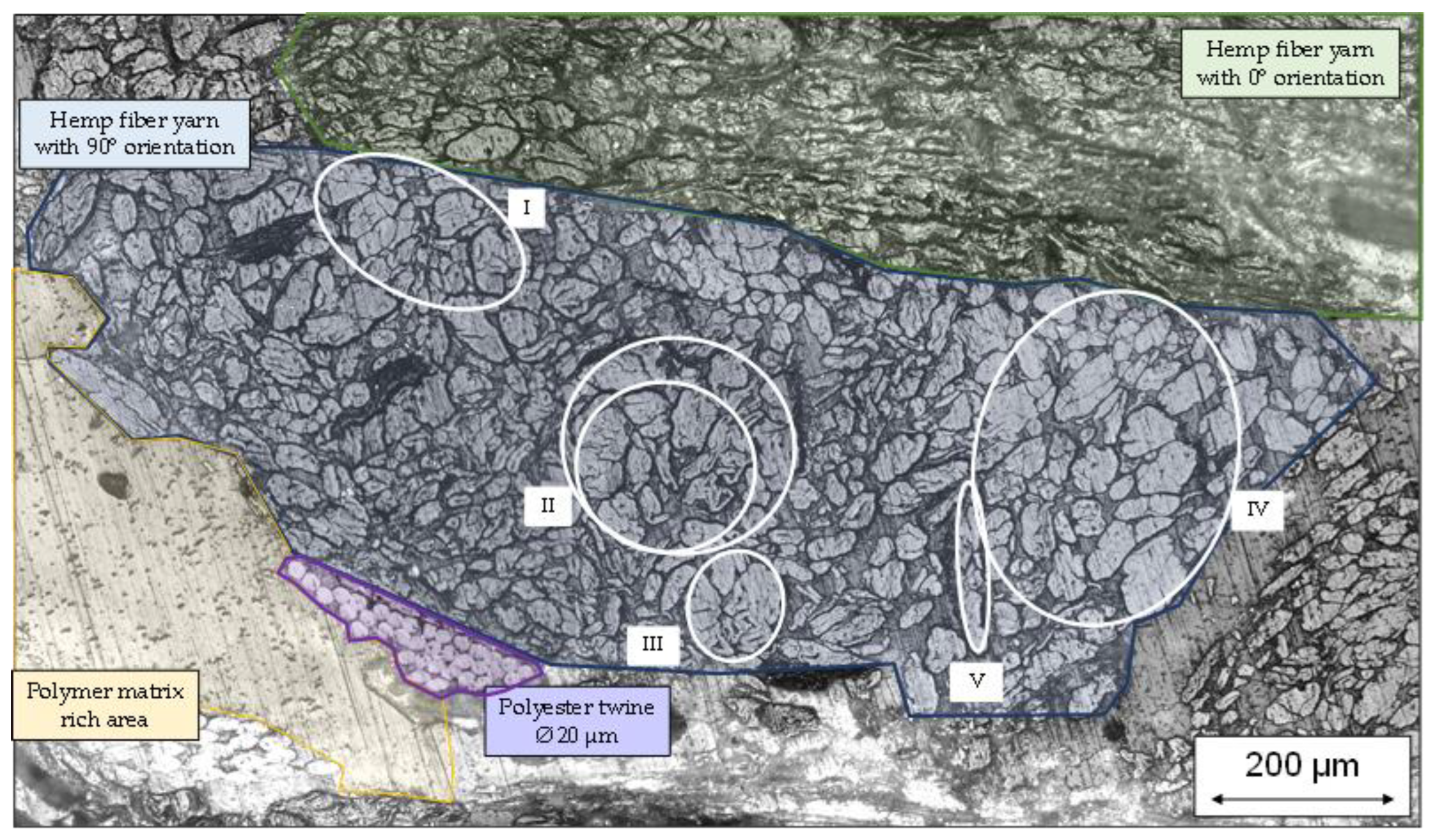 Polymers 15 04357 g020