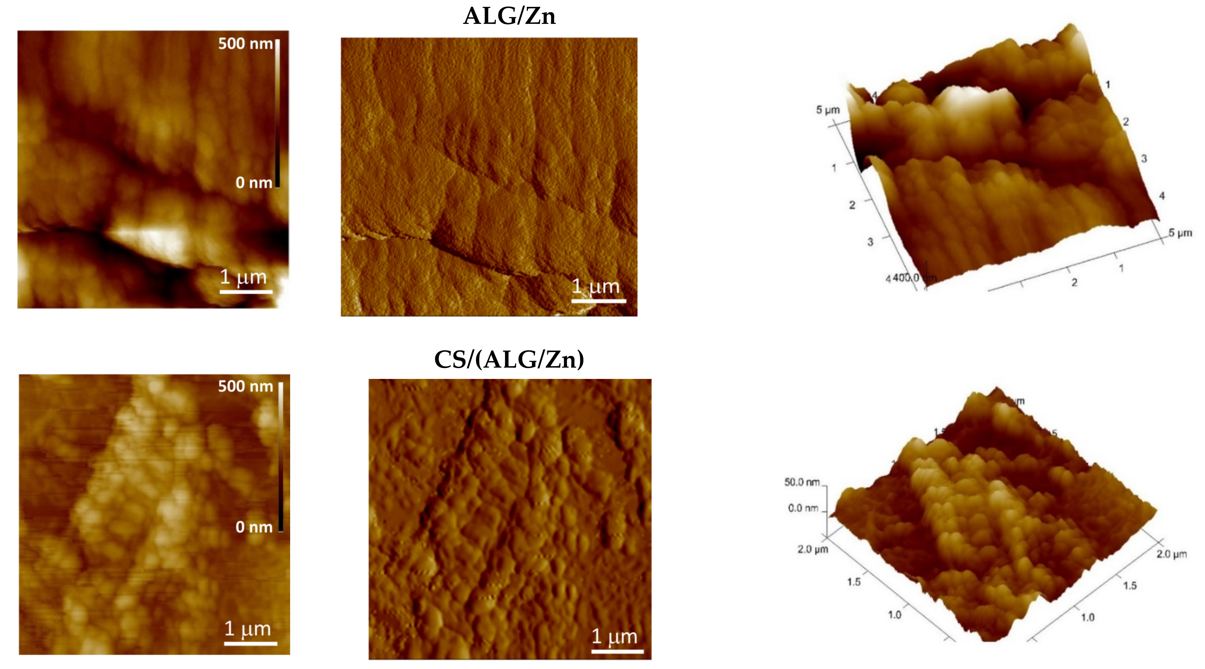 Polymers 15 04359 g004a