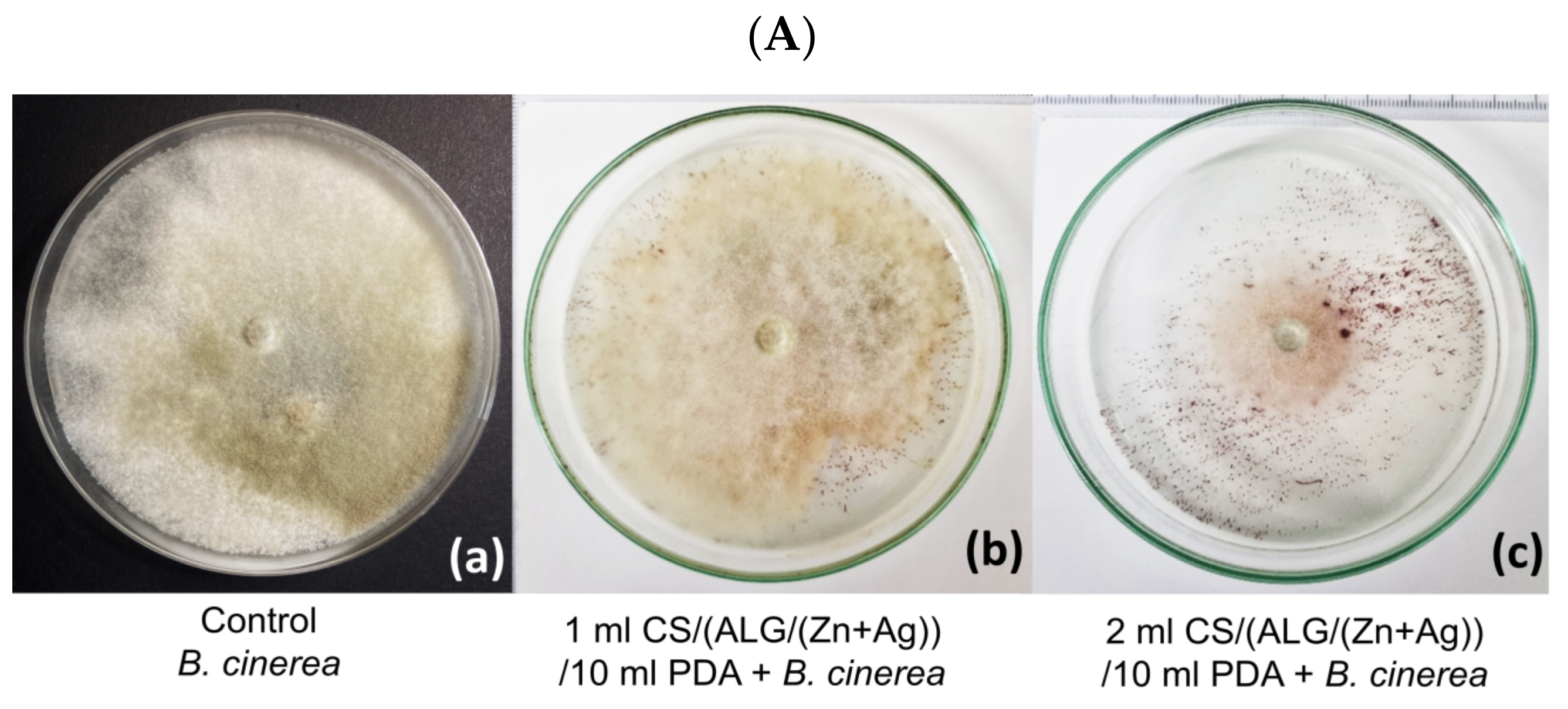 Polymers 15 04359 g007a