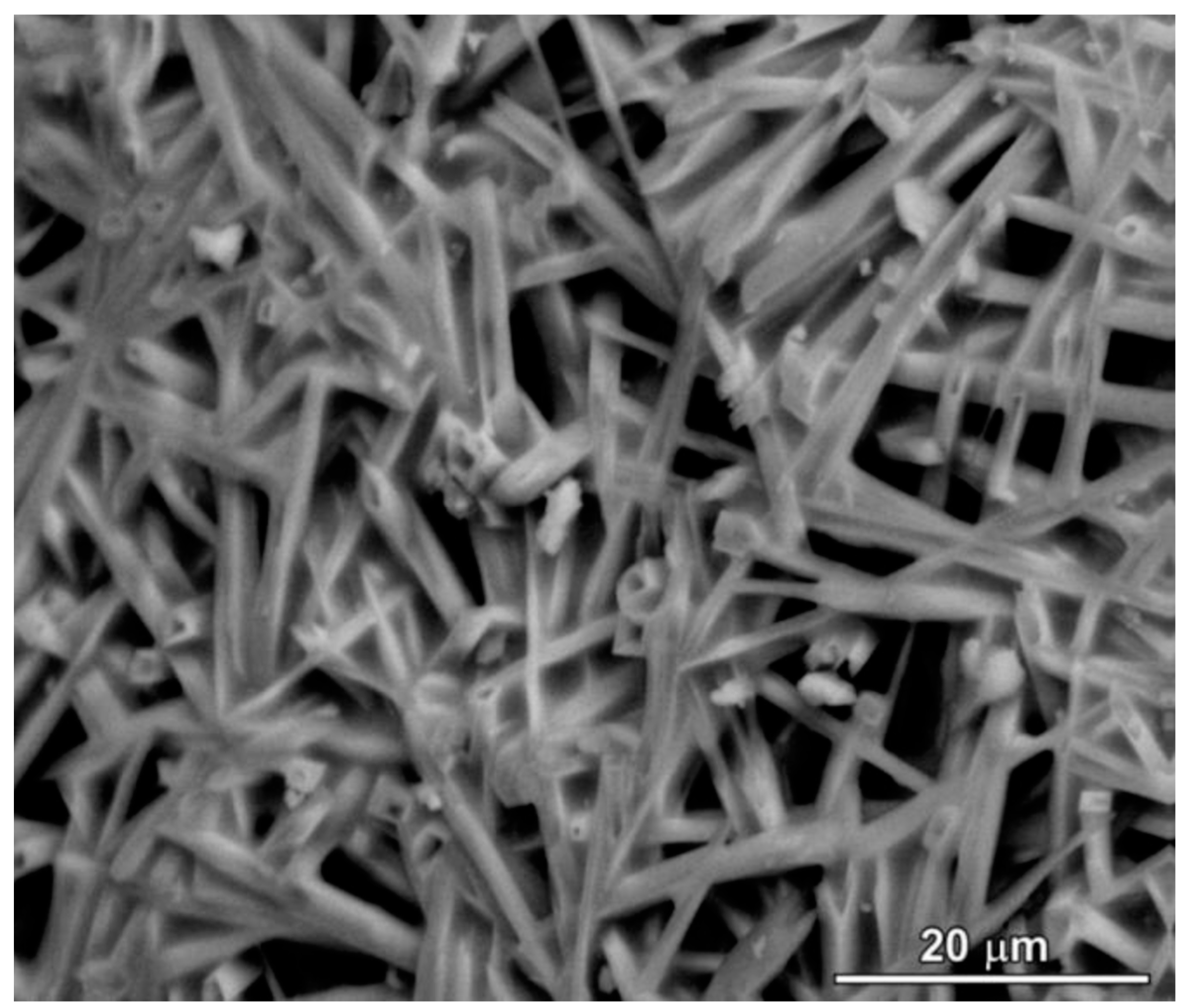 Polymers 15 04360 g006