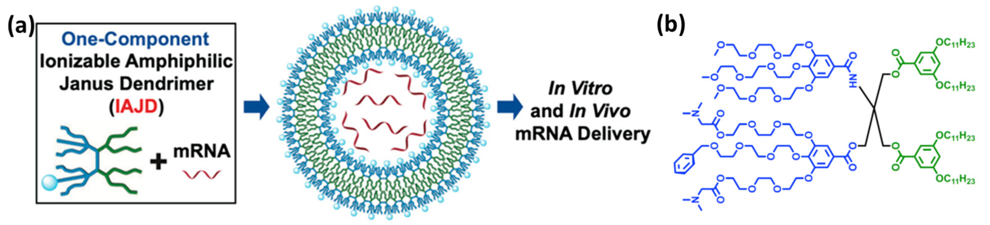 Polymers 15 04369 g004
