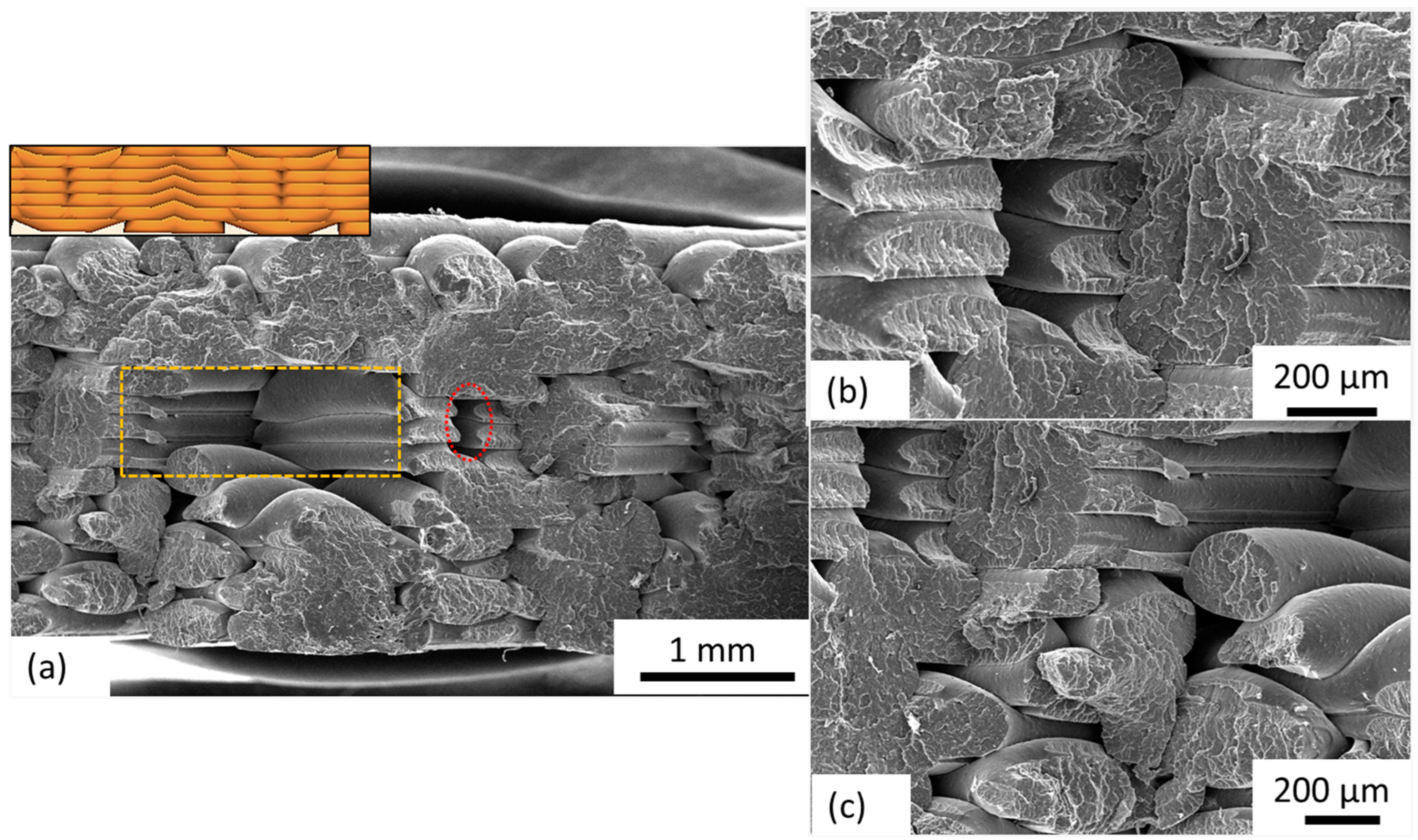 Polymers 15 04370 g010
