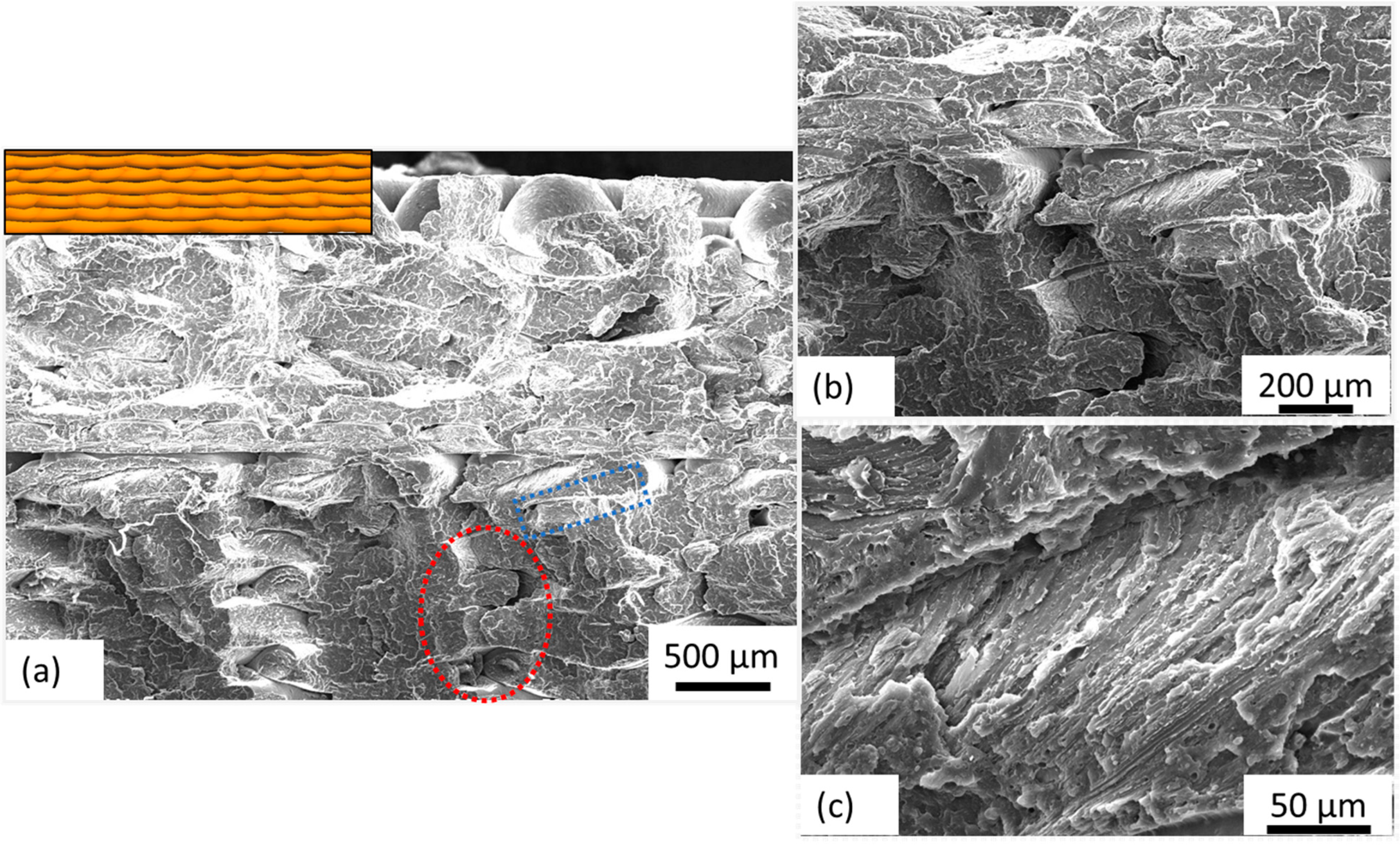 Polymers 15 04370 g011